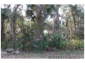 Florida Shores 01 - Land