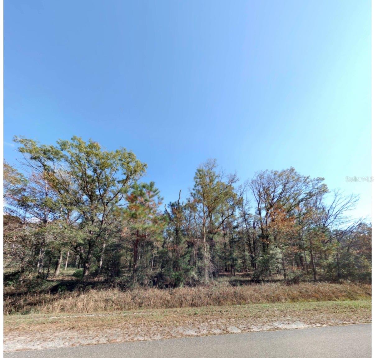 FLAGLER ESTATES - Land