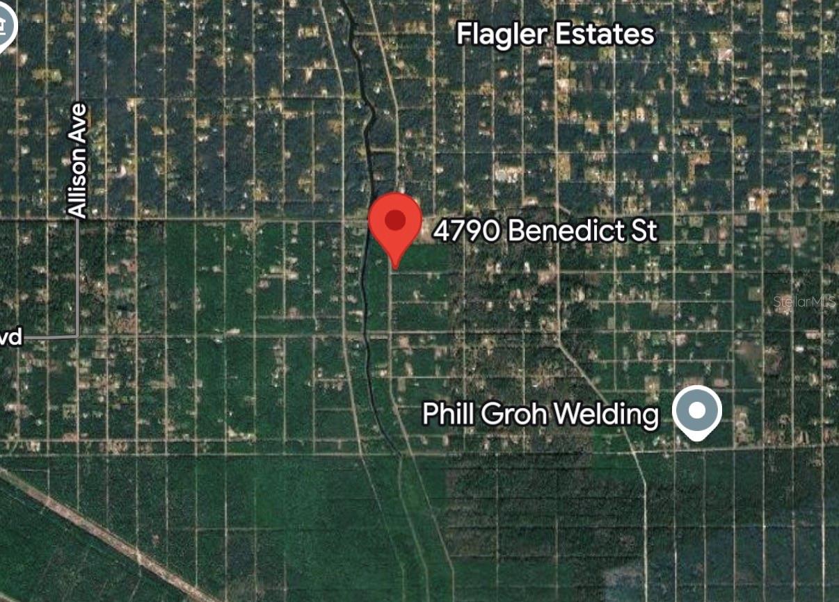 FLAGLER ESTATES - Land