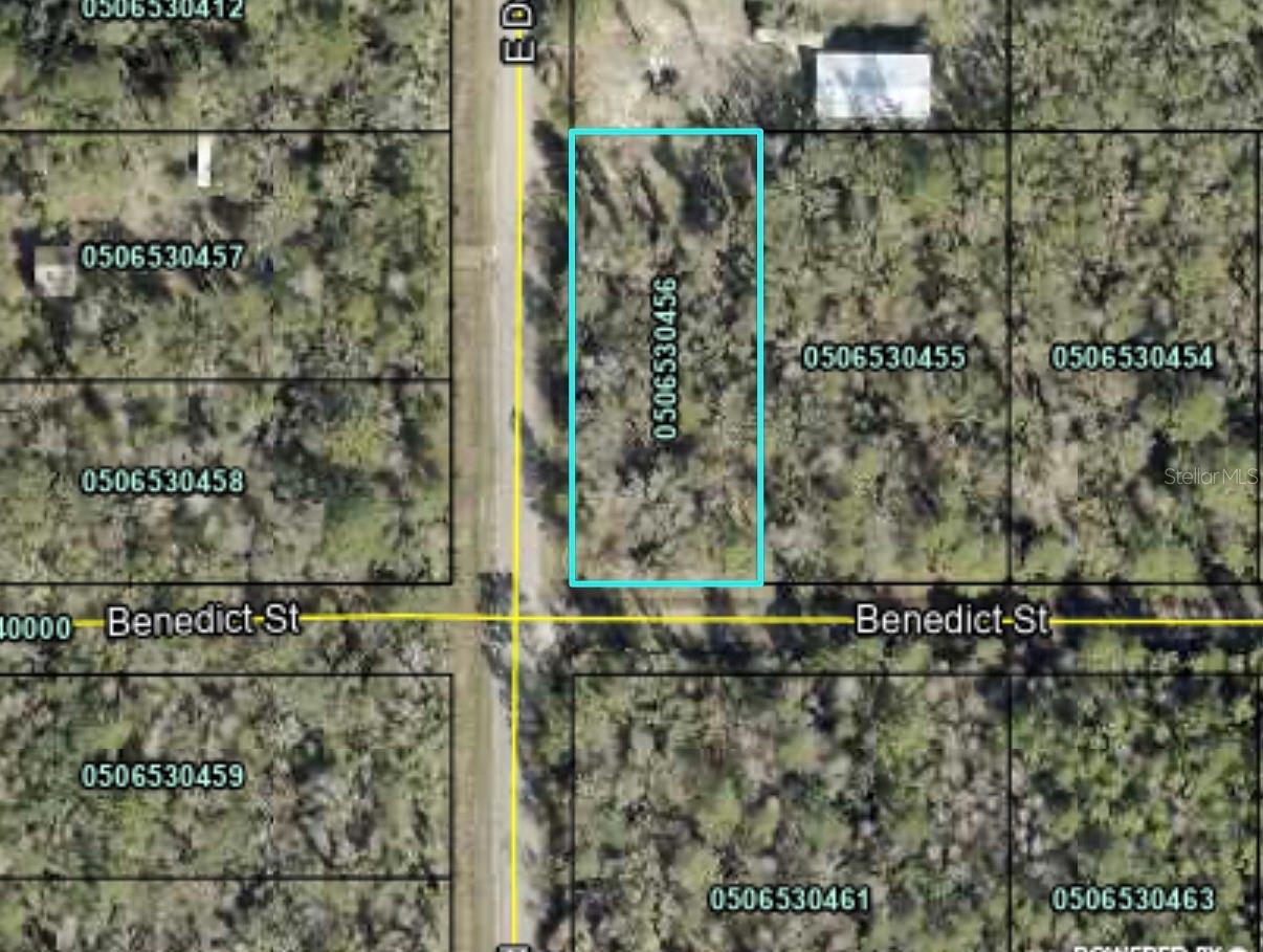 Discover the perfect opportunity to build your dream home or invest in one of Florida’s fastest-growing areas! This oversized 0.86-acre lot (approximately 125 x 300 feet) is located at 4790 Benedict Street in the desirable Flagler Estates community of St. Johns County. Situated on a spacious wooded parcel, this property offers plenty of room for a custom home, workshop, garage, RV storage, or outdoor recreational space with no HOA fees. The lot is conveniently located near Flagler Estates Boulevard, County Road 13, County Road 204, and State Road 207, providing easy access to Hastings, Palatka, St. Augustine, and Interstate 95. Enjoy the privacy and tranquility of country living while remaining within reach of shopping, dining, schools, beaches, and historic attractions. Whether you’re looking to build now or hold as a long-term investment, this oversized lot offers exceptional potential in a rapidly developing area of St. Johns County.