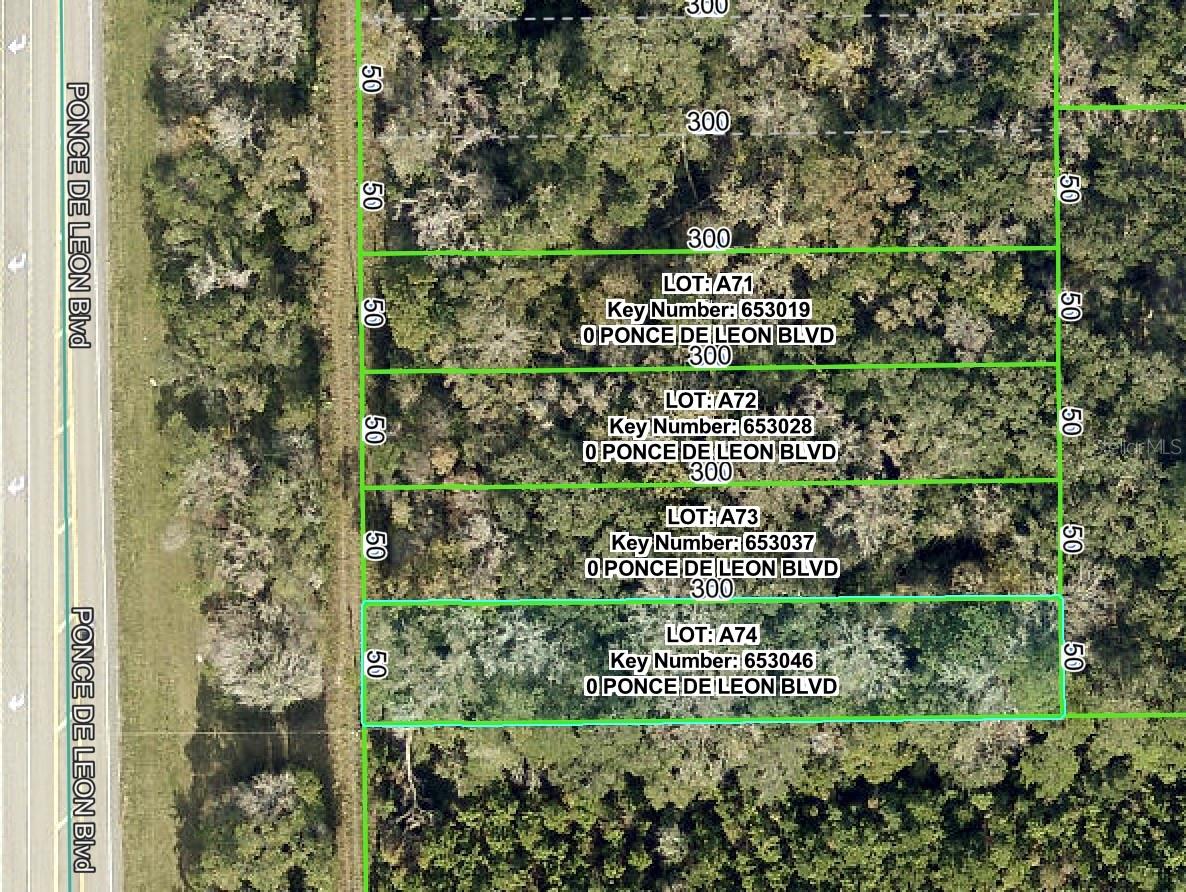 Buildable .34 acres  Zoned AG.