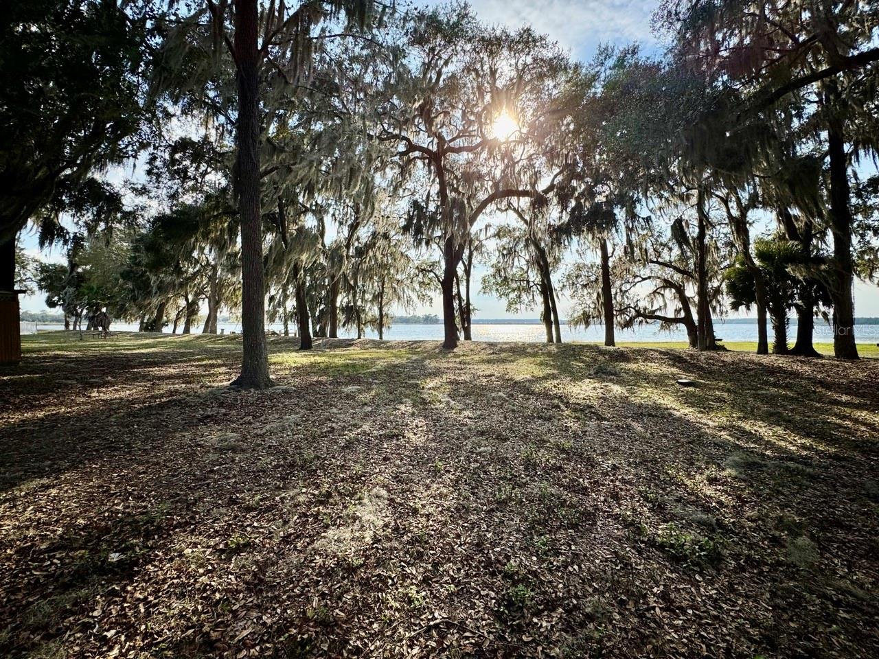 SALT SPRINGS RESORT CONDOMINIUM - Land