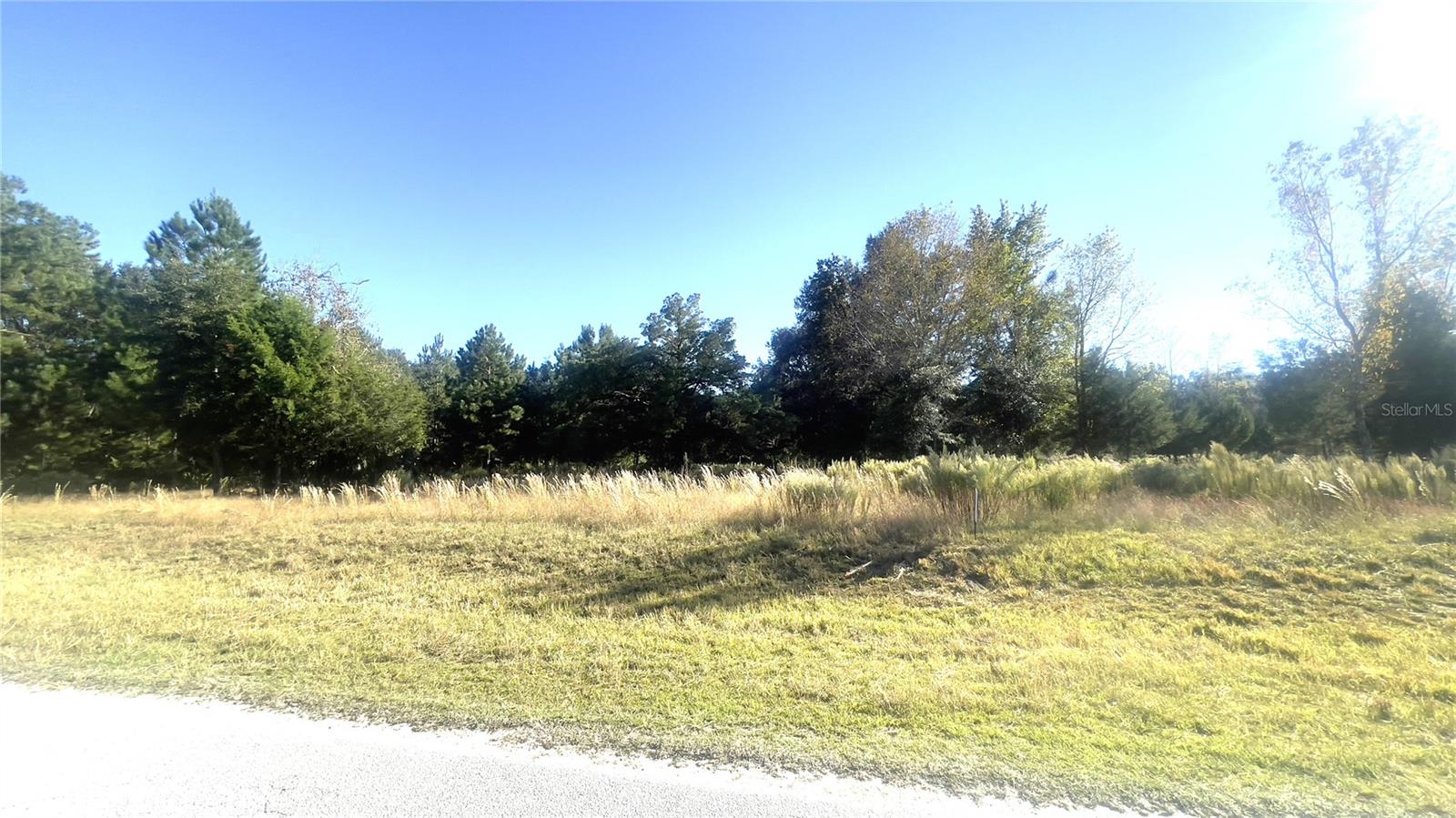 SPANISH TRACE SUB - Land