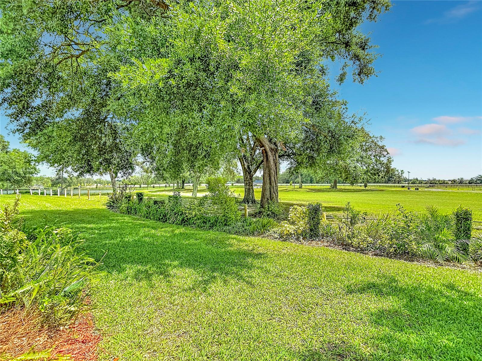MEADOW OAKS - Residential