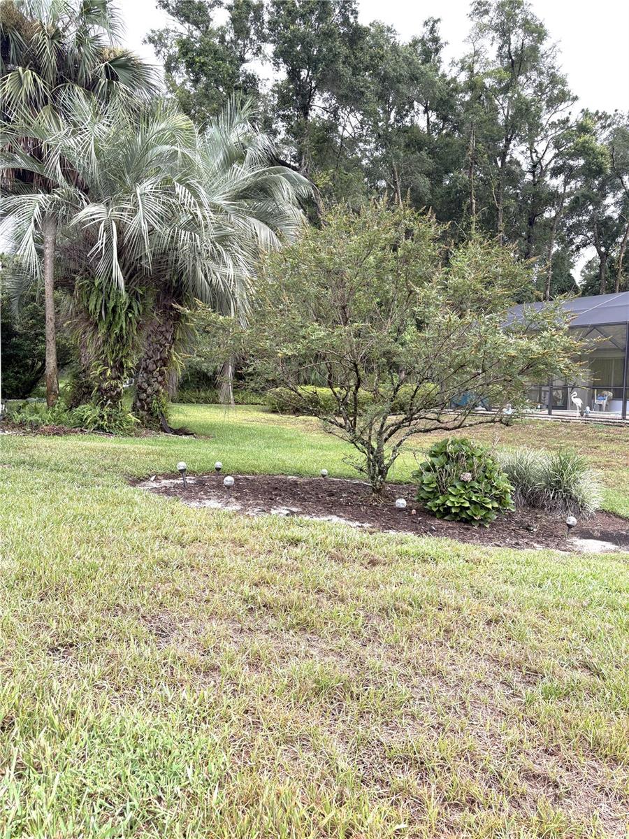 RAINBOW SPRINGS PROPERTY OWNERS ASSOCIATION - Residential