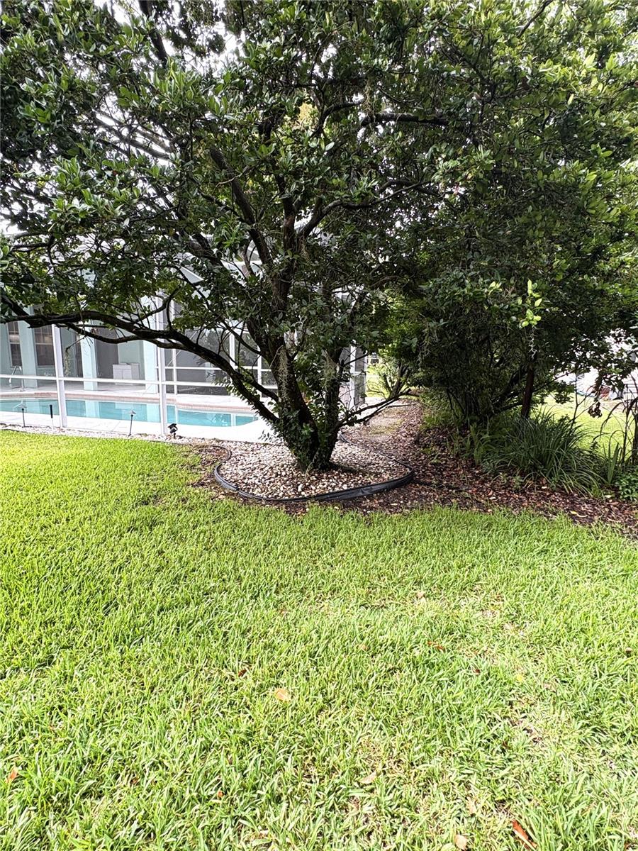 RAINBOW SPRINGS PROPERTY OWNERS ASSOCIATION - Residential