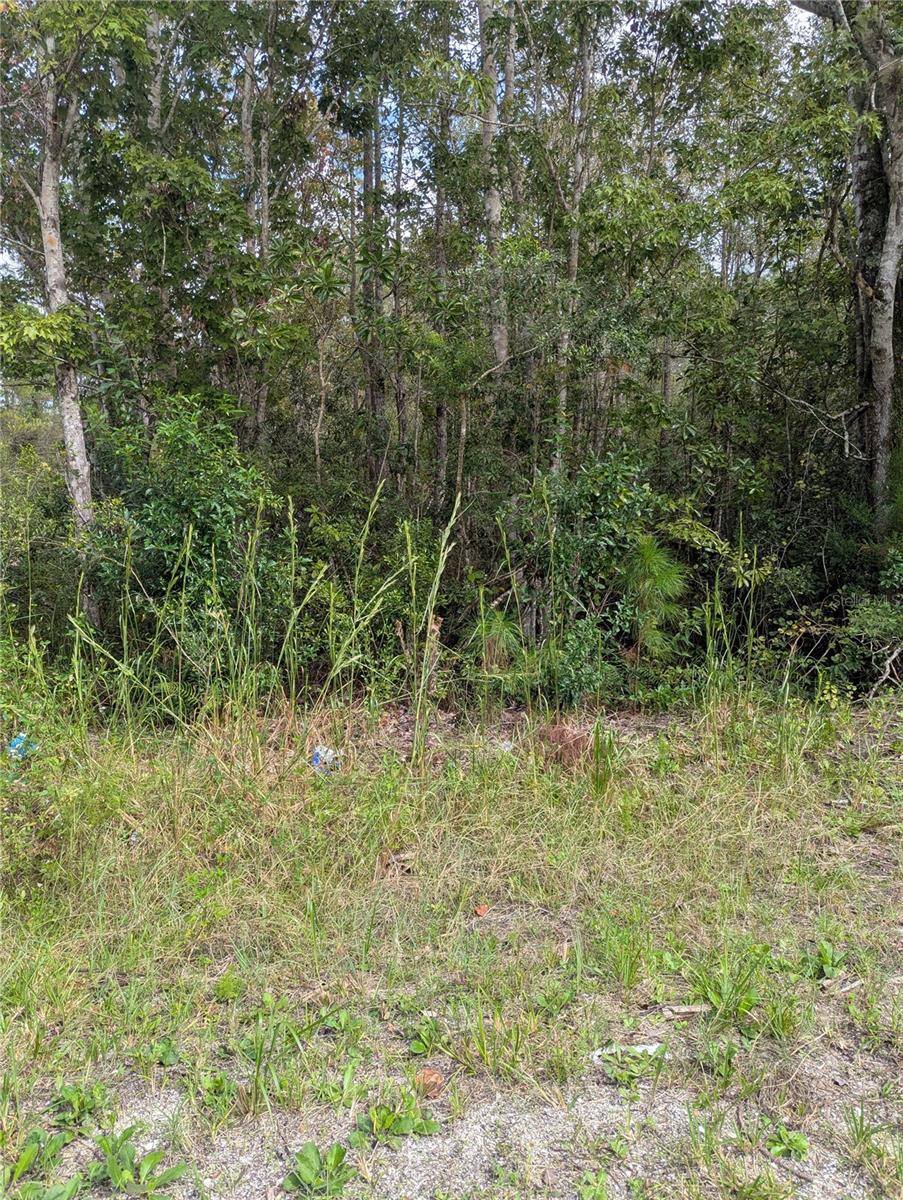 DAYTONA PARK ESTATES SEC F - Land