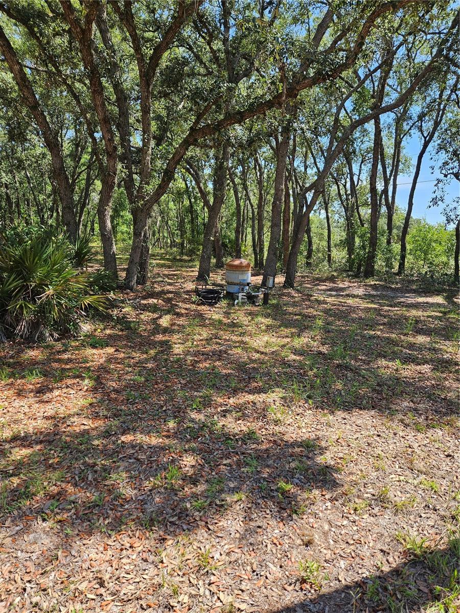 Enjoy the Privacy of This Completely Fenced 1.64 Acre Parcel with Garage, Well, and Electric Pole.  Build Your New Home or Place a Mobile Home on This Wooded Lot.  Plenty of Room for a Swimming Pool, Gardens, Back Yard Patio, and Entertainment.  Take Advantage of The Homosassa Lifestyle, Boating, Fishing, Scalloping, Kayaking, Swimming, Nature Parks, Shops, and Restaurants.  Easy Access to Suncoast Parkway and U.S. 19.