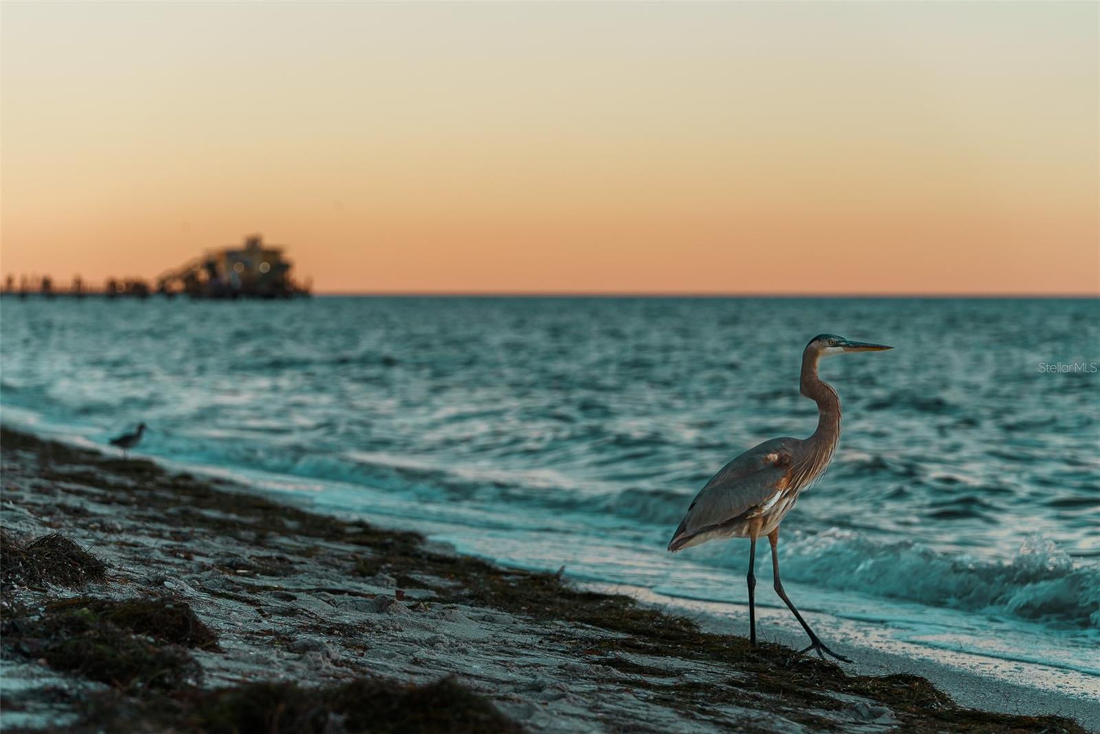 GULF VIEW SUB OF ANNA MARIA KEY - Residential