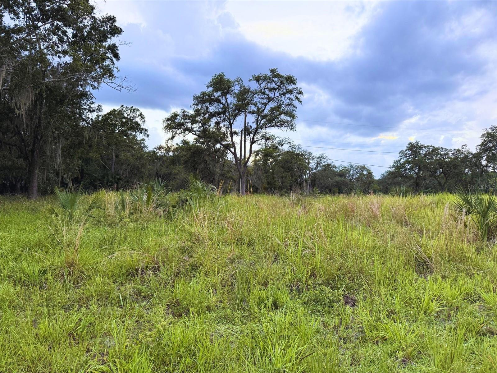 Davenport lot with no HOA and flexible use potential. This 80x101 lot offers approximately 0.19 acres on a paved road in a quiet, low-traffic area. A great option for buyers looking to build a single-family home, explore a manufactured or mobile home, or hold land in a growing area of Polk County.  The property has electrical nearby, requires septic, and is located in Flood Zone X. Conveniently positioned about 5 miles from I-4/ChampionsGate via Osceola Polk Line Rd, with easy access to Ronald Reagan Pkwy, shopping, dining, medical services, Orlando, and the Disney area.  Buyer to verify all zoning, land use, utility, setback, mobile/manufactured home, and permitting requirements with Polk County.