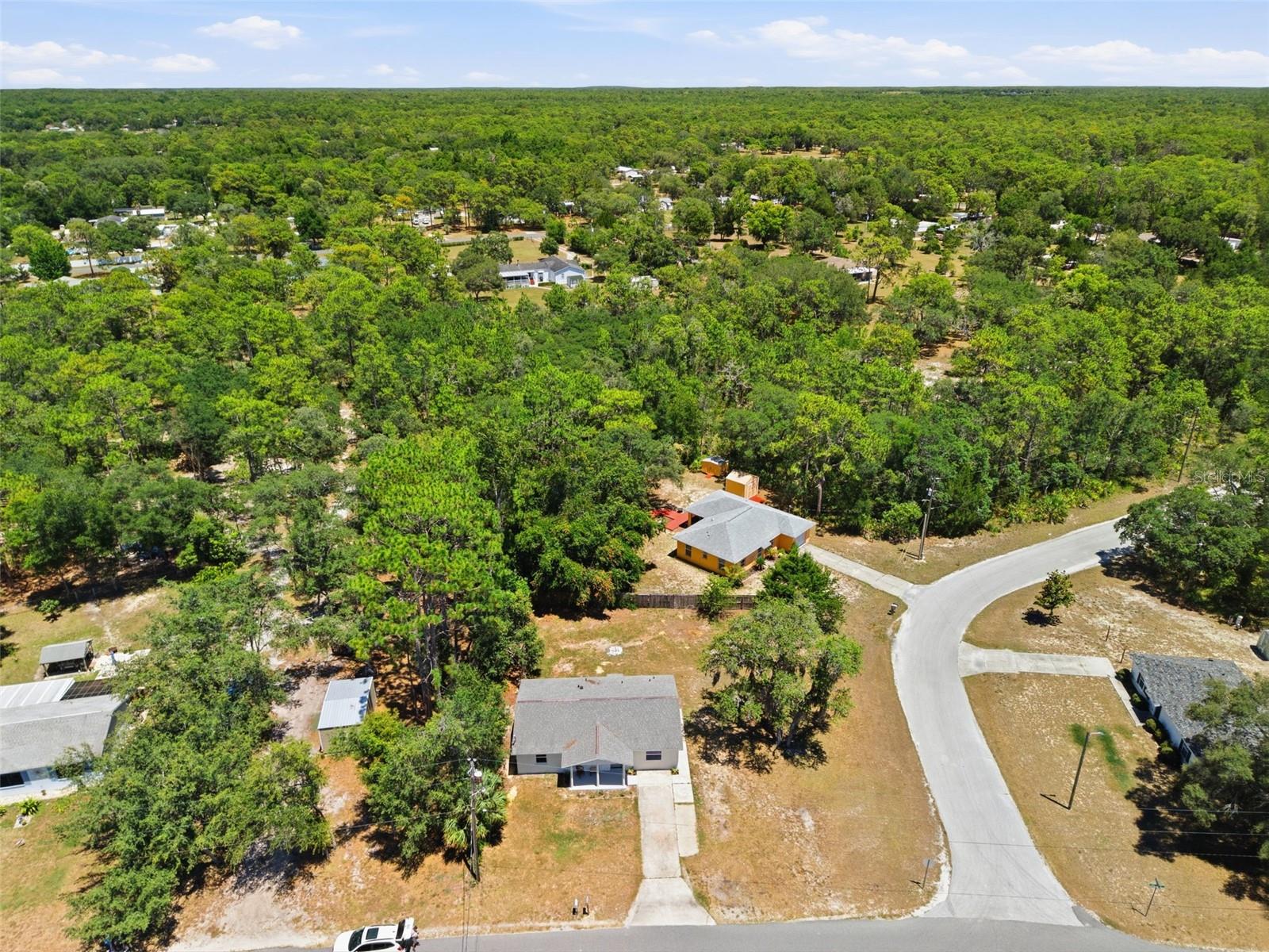 NEW HOMOSASSA VILLAGE - Residential