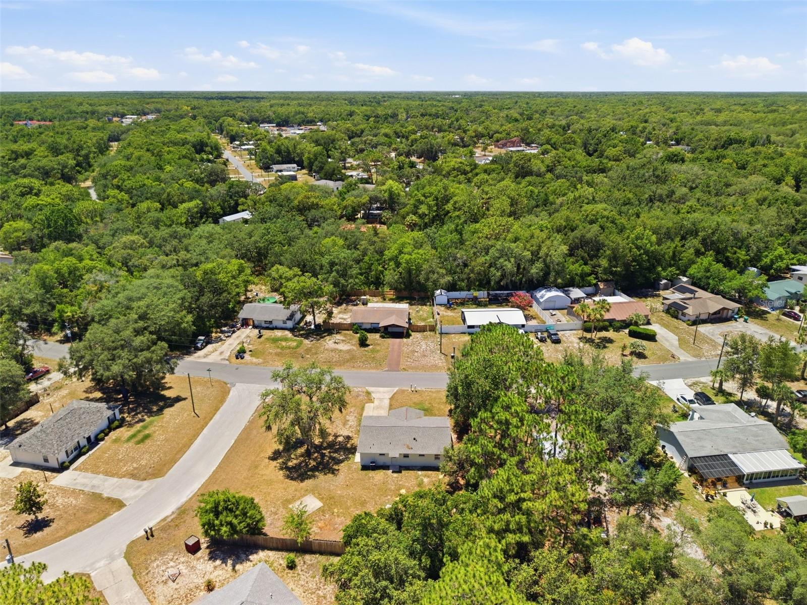 NEW HOMOSASSA VILLAGE - Residential