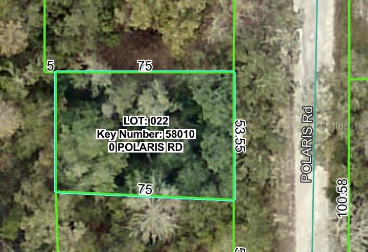 This .19 acre parcel that is the easement for the power lines. Zoned R1A. You cannot build on it...but you can play on it and use it for your enjoyment. Best buyer is a home-owner whose lot adjoins it or hold it for possible future investment.
The power company must have access to it at all times for maintenance. Cash only. The property is being transferred with a quit claim deed with no owner's title policy, and if the buyer wants any other deed or title policy, they have to pay for those closing costs.