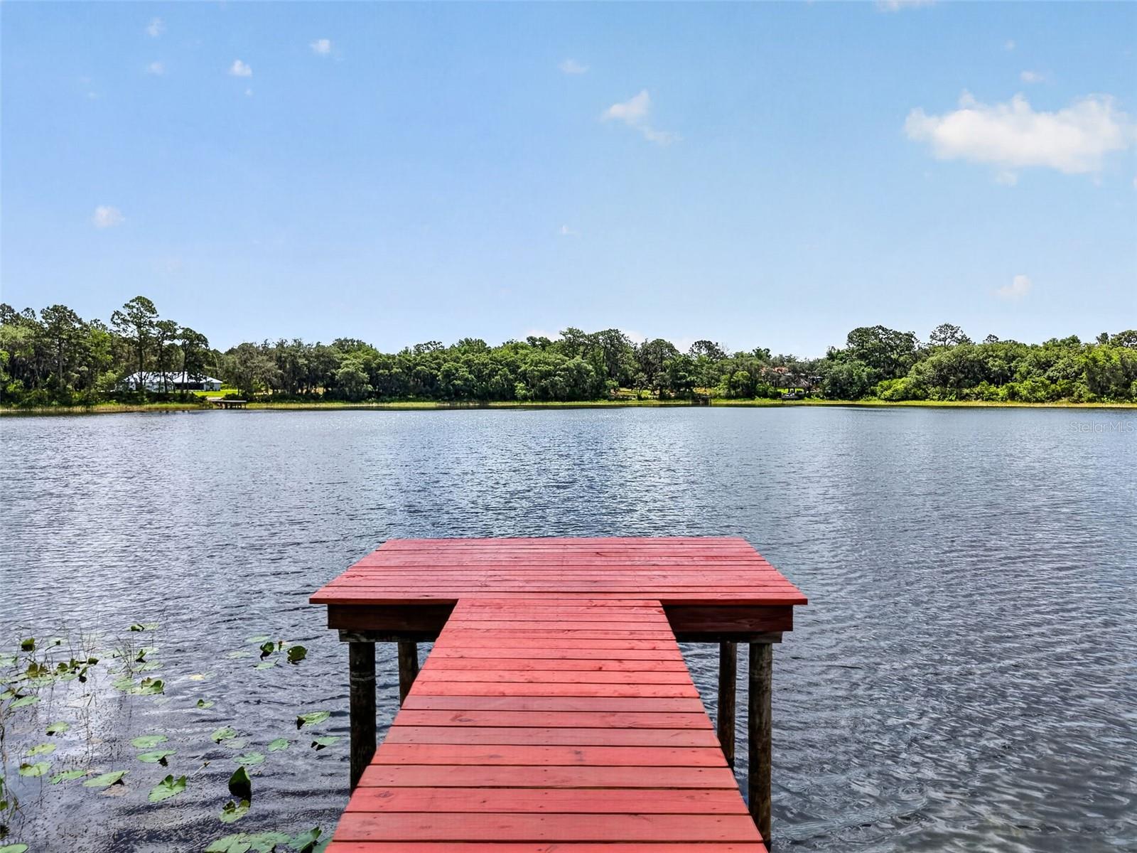LAKE LEON - Residential