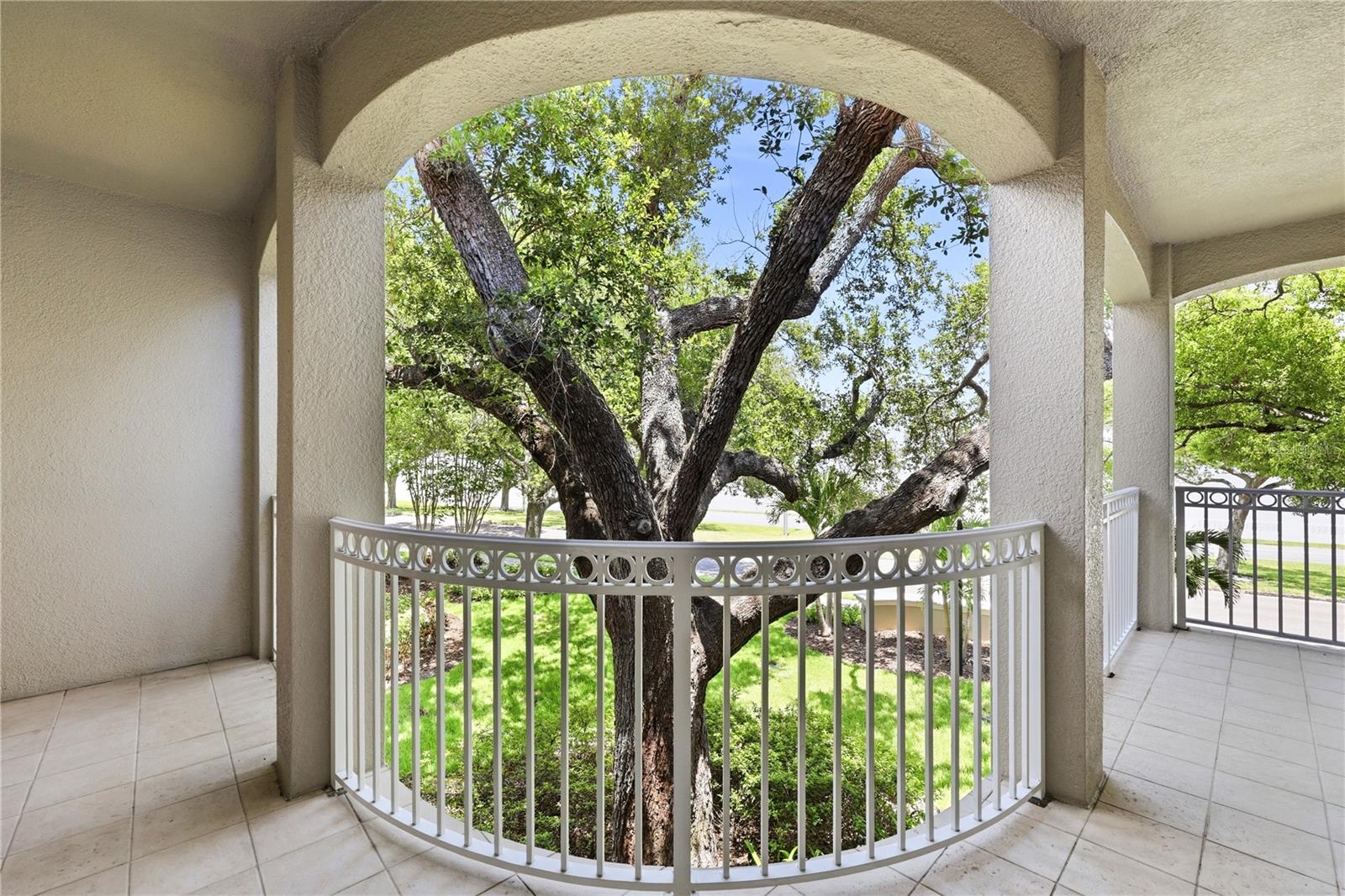 THE ALAGON ON BAYSHORE A CONDO - Residential