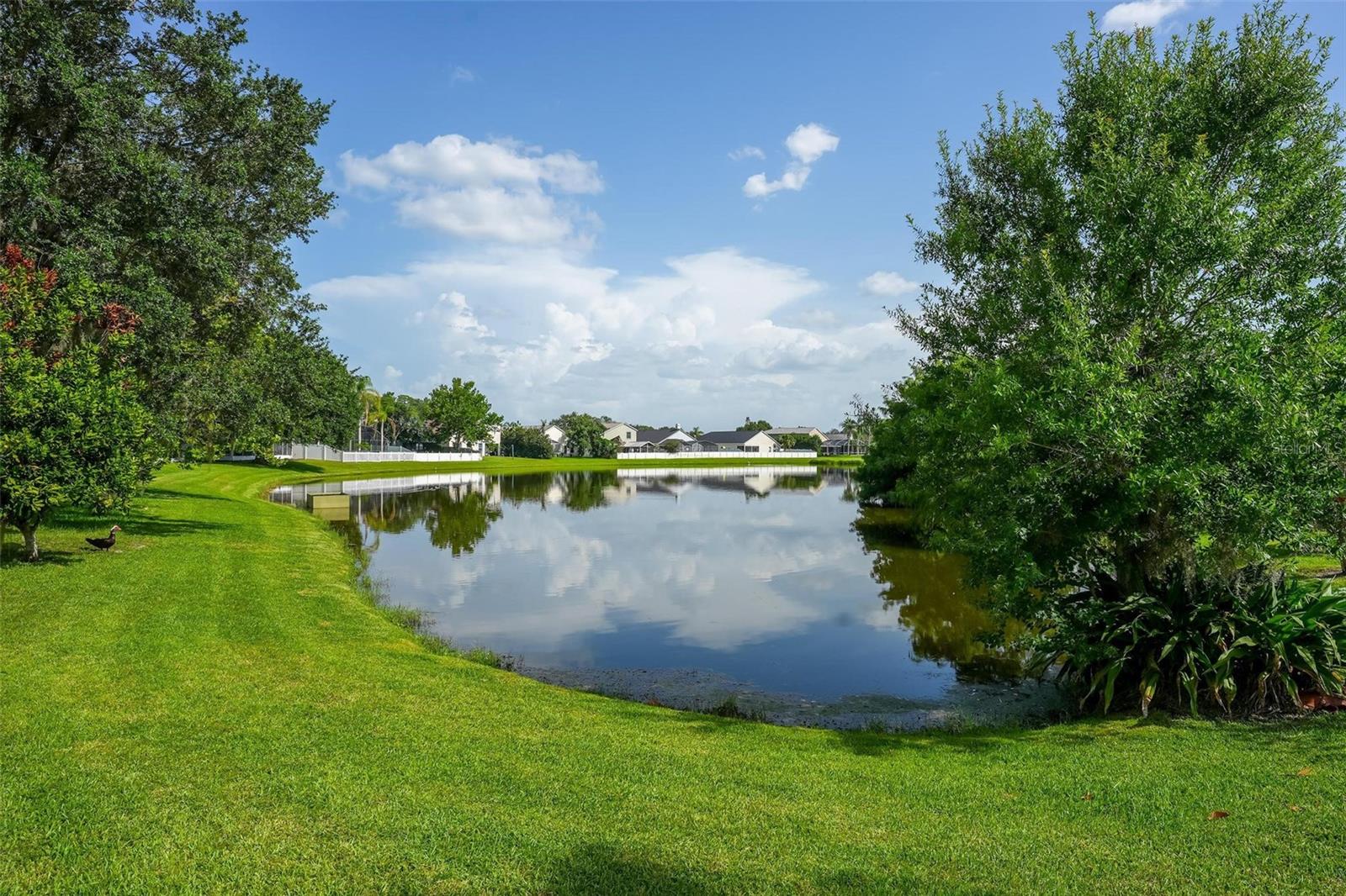 WATERFORD LAKES TR N33 - Residential