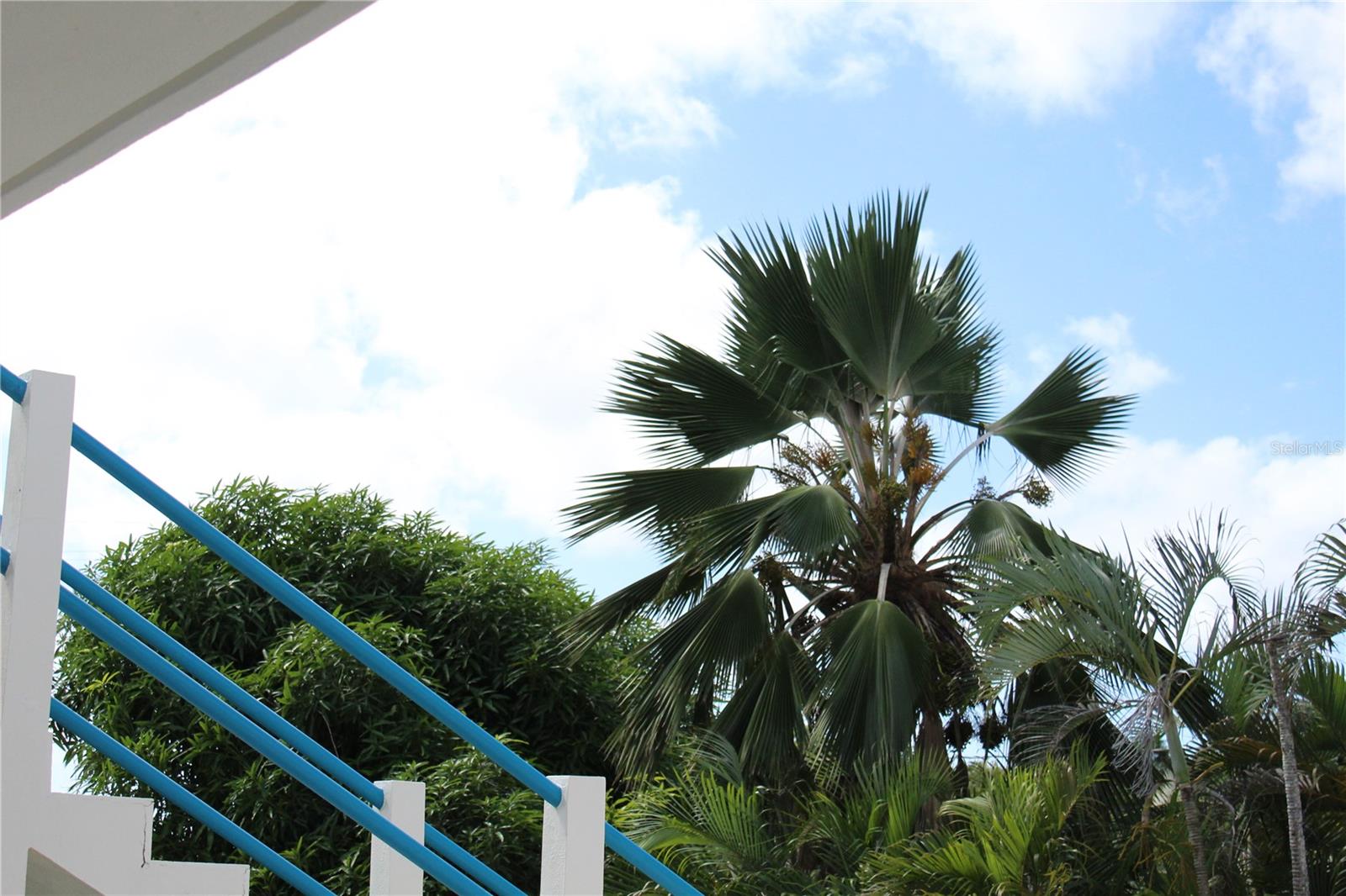 ESPERANZA - Residential