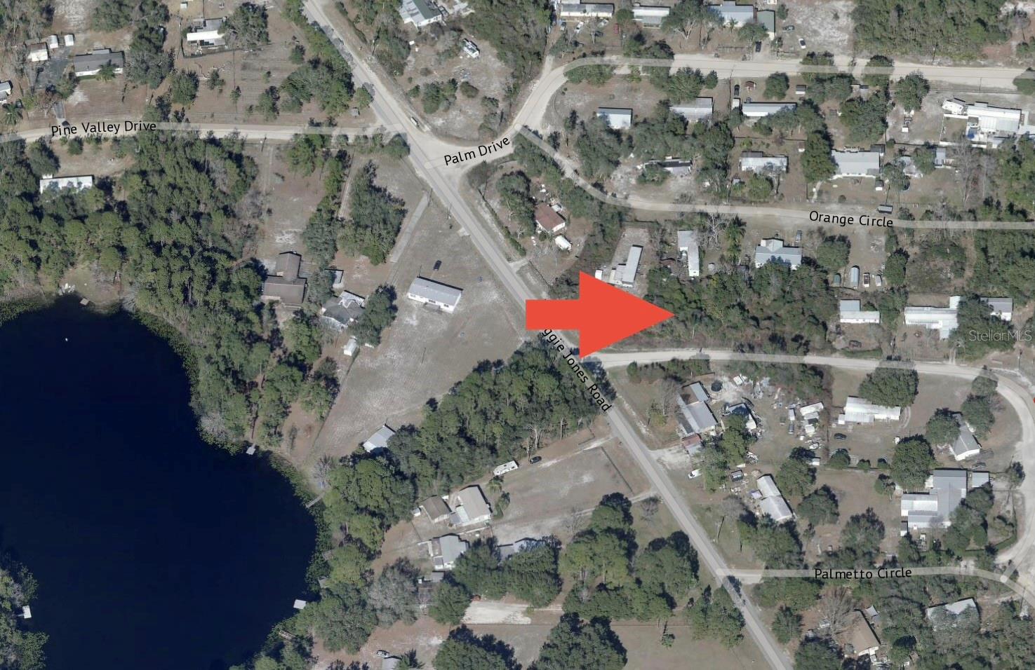 Escape the hustle and enjoy peaceful country living on this buildable lot in Paisley. Whether you’re planning a manufactured home or a site-built home, this property offers the flexibility to create your ideal retreat. Tucked away in a quiet rural setting, you’ll appreciate the privacy, open space, and relaxed lifestyle with no big-city traffic or congestion. Conveniently located near lakes, outdoor recreation, and the Ocala National Forest while still within reach of nearby towns for shopping and dining. A great opportunity to build now or invest for the future. No HOA! Seller financing option available!