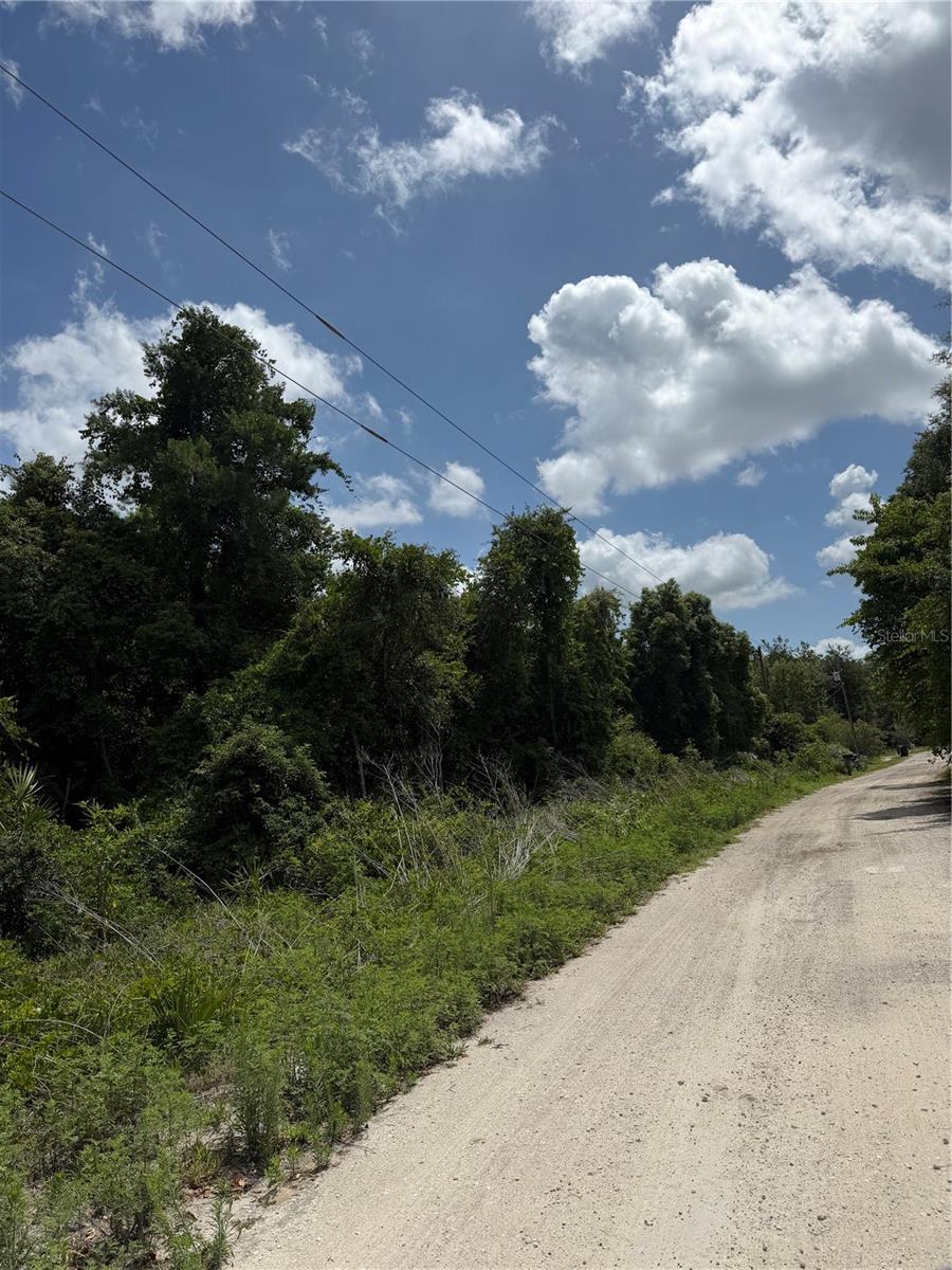 PINE VALLEY - Land