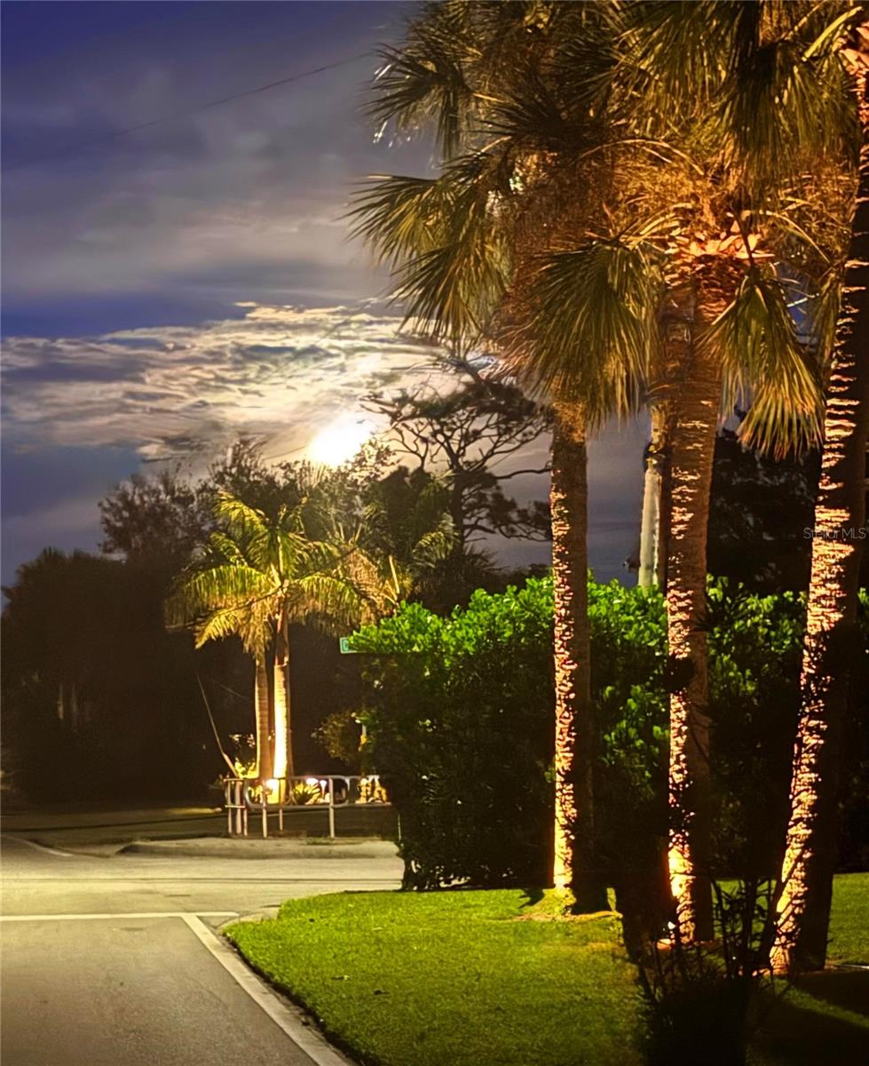 VENICE GULF VIEW REP - Land