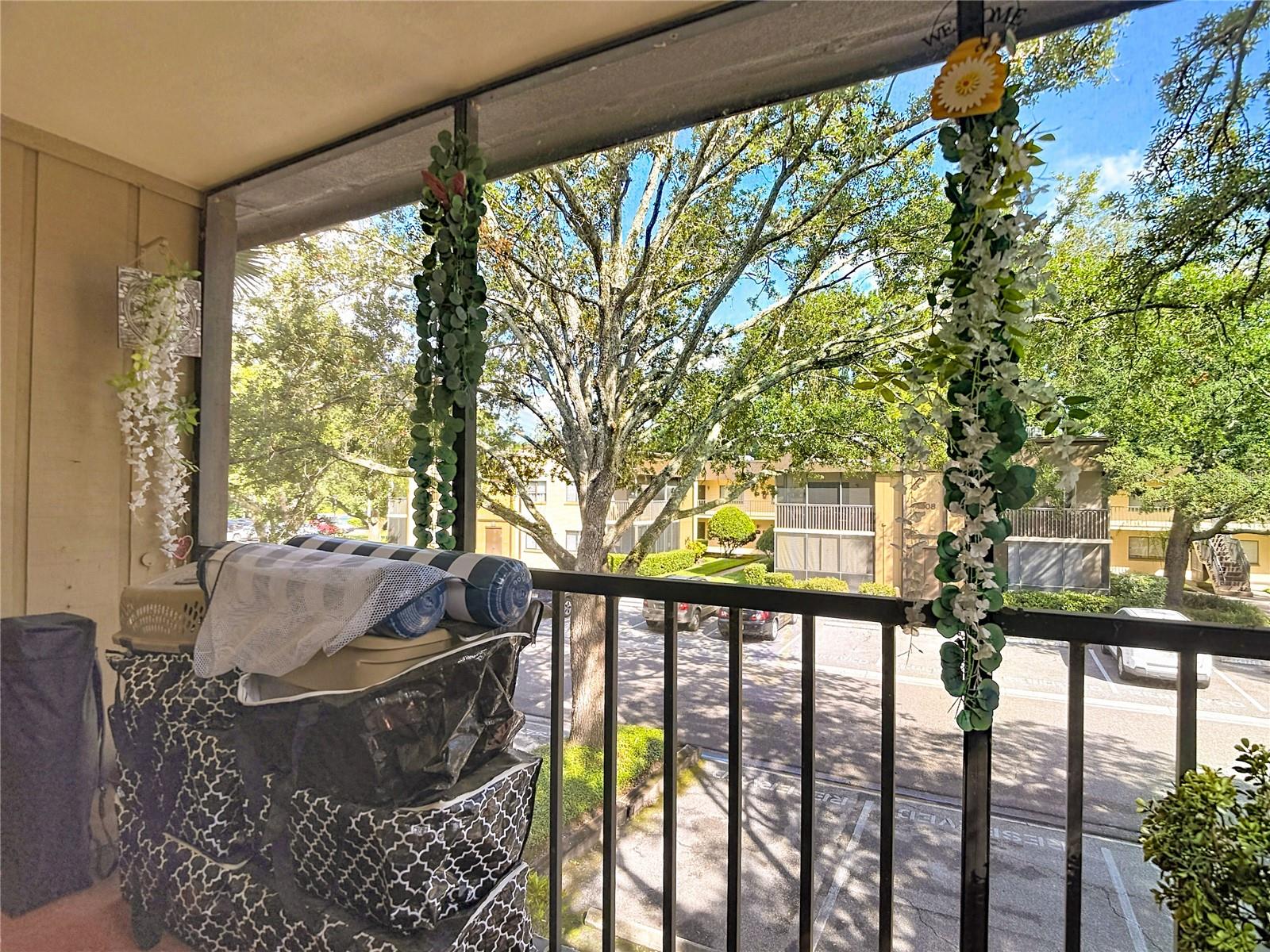 RAINTREE VILLAGE CONDO N - Residential
