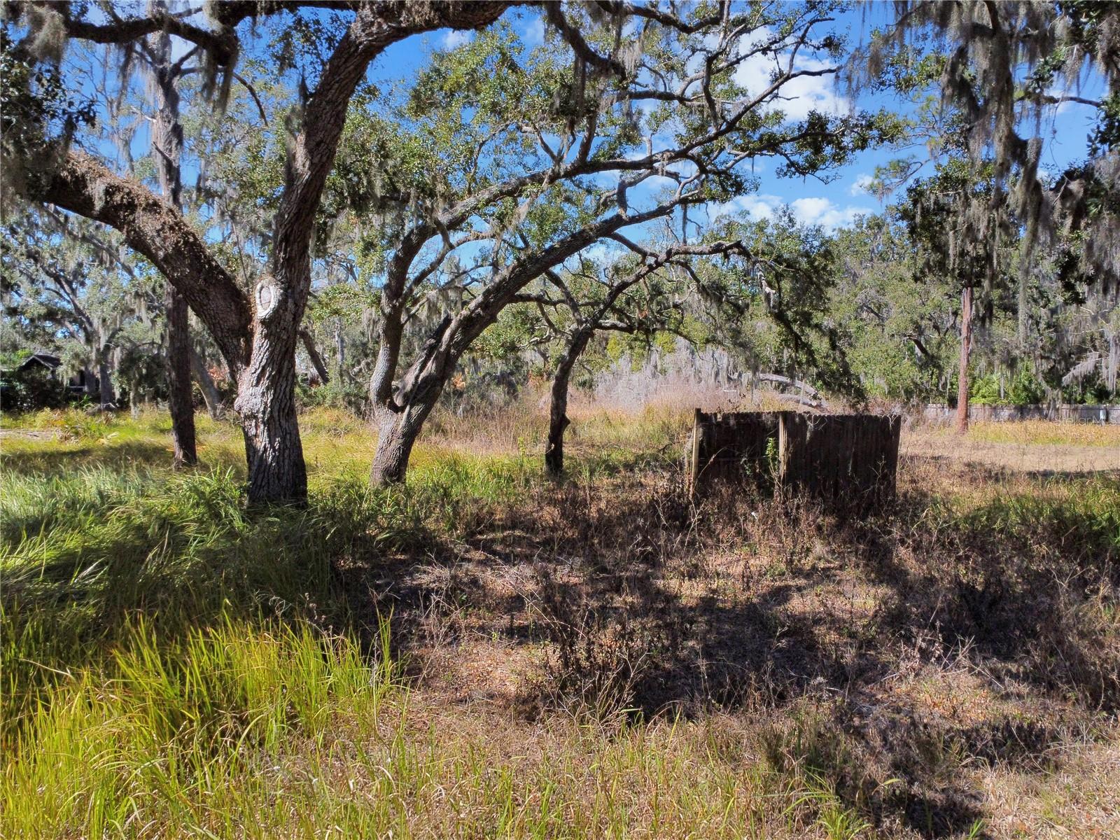 UNPLATTED - Land