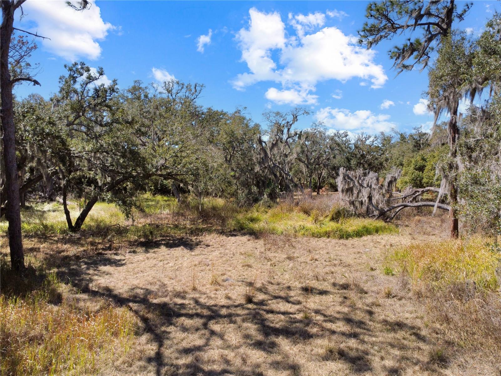 UNPLATTED - Land