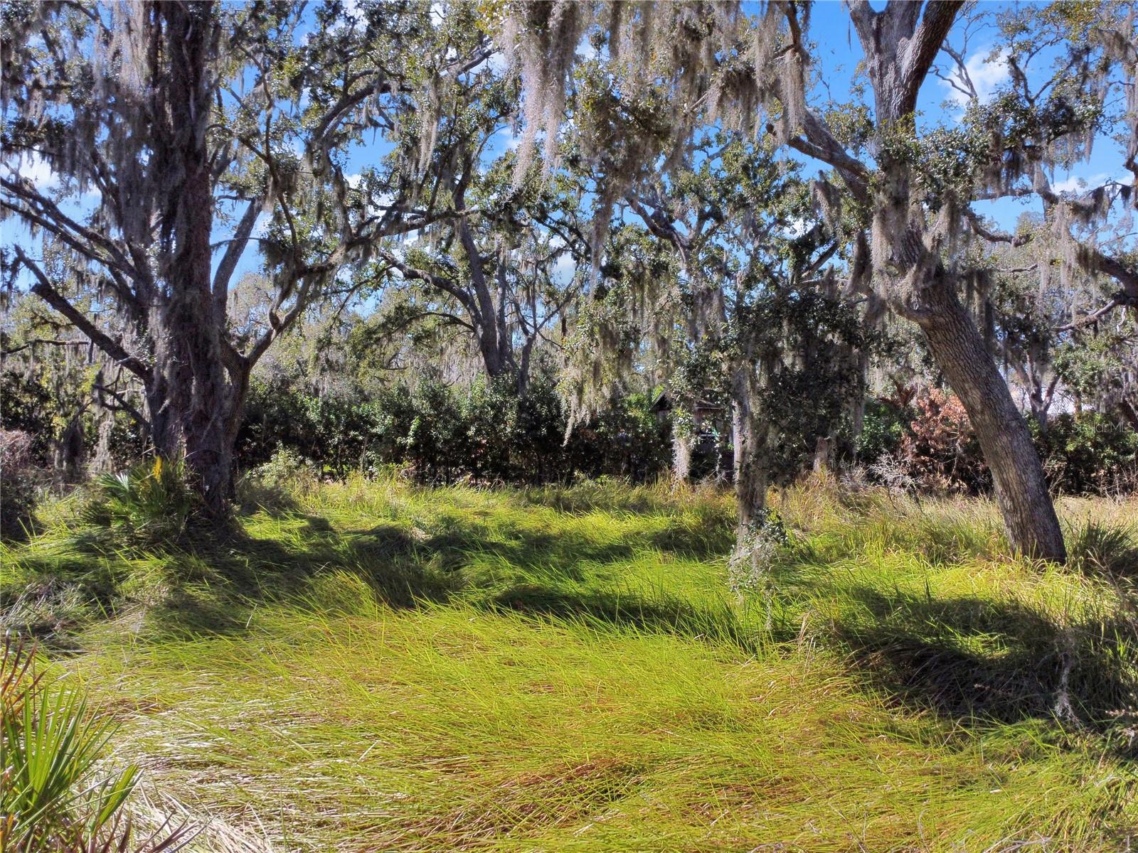 UNPLATTED - Land