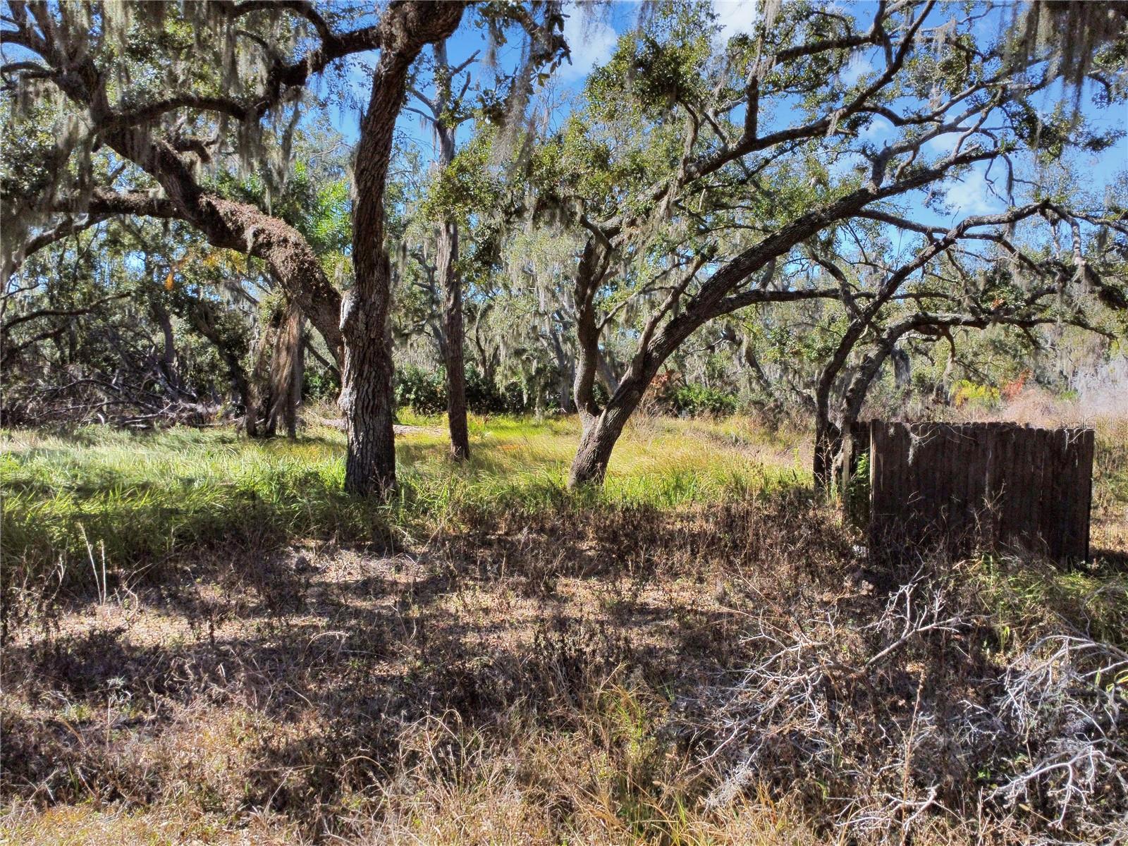 UNPLATTED - Land