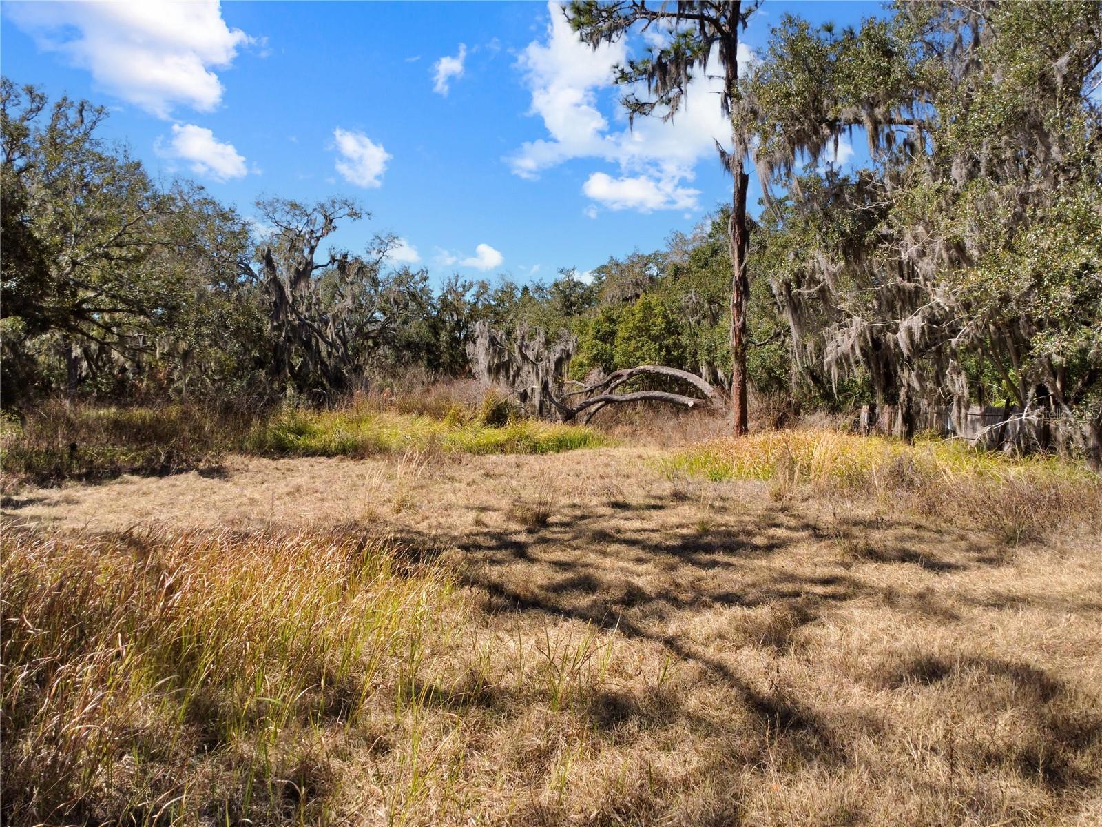 UNPLATTED - Land