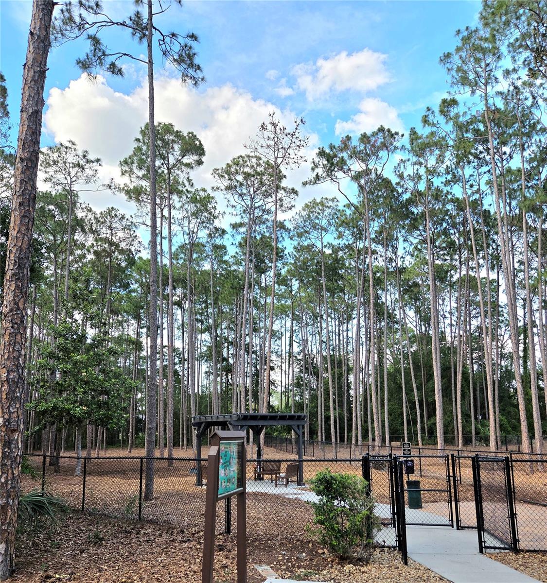 TIMBER PINES - Residential