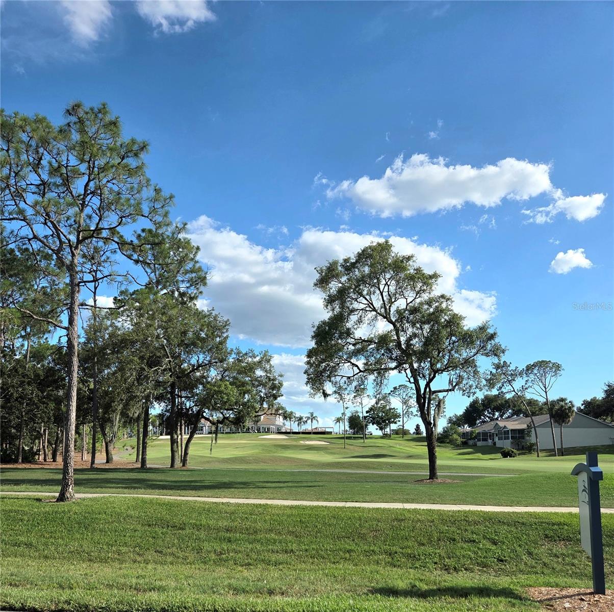 TIMBER PINES - Residential