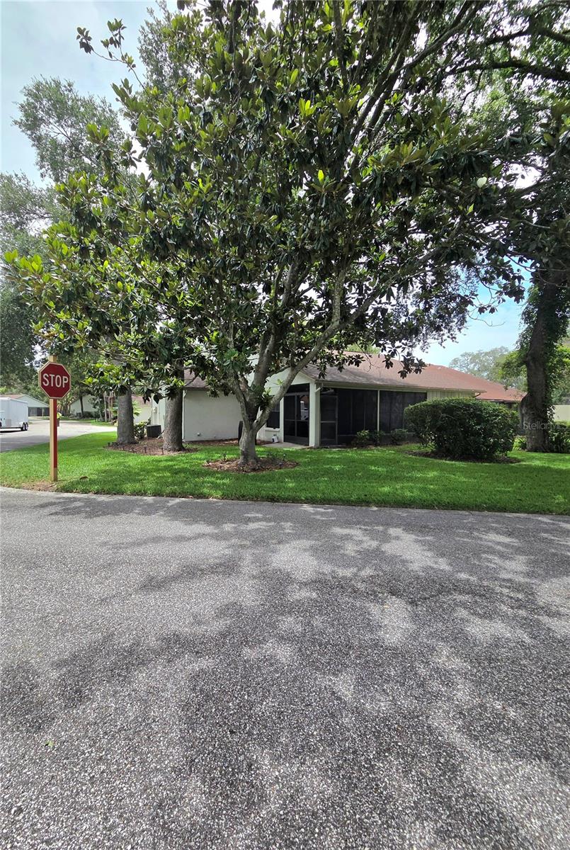 TIMBER PINES - Residential