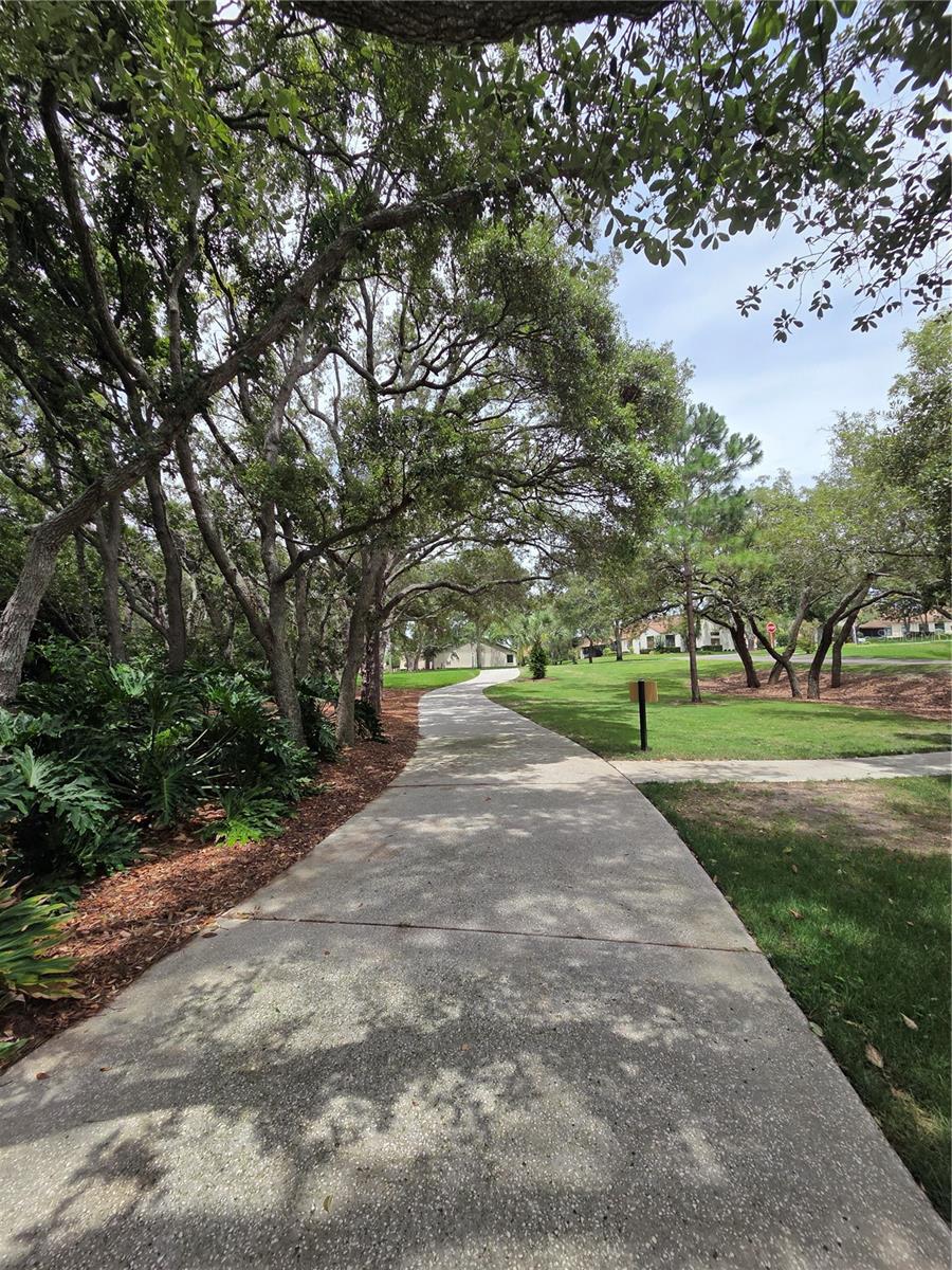 TIMBER PINES - Residential