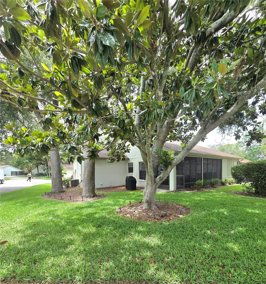TIMBER PINES - Residential