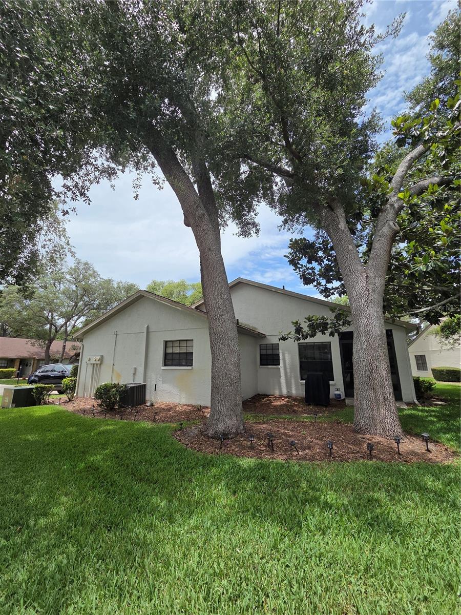 TIMBER PINES - Residential