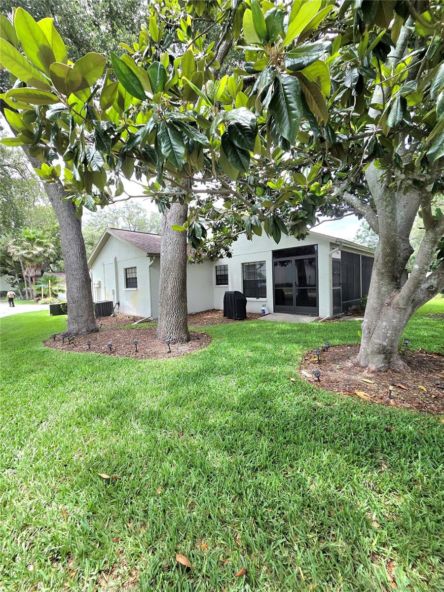 TIMBER PINES - Residential