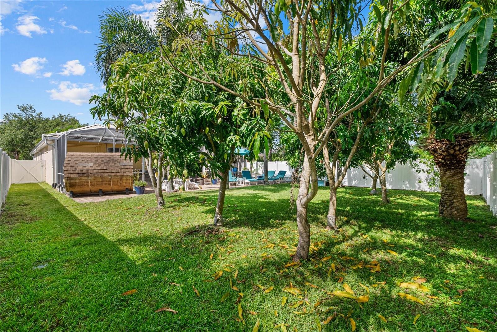 SUMMERFIELD VILLAGE SUBPHASE C U13 - Residential