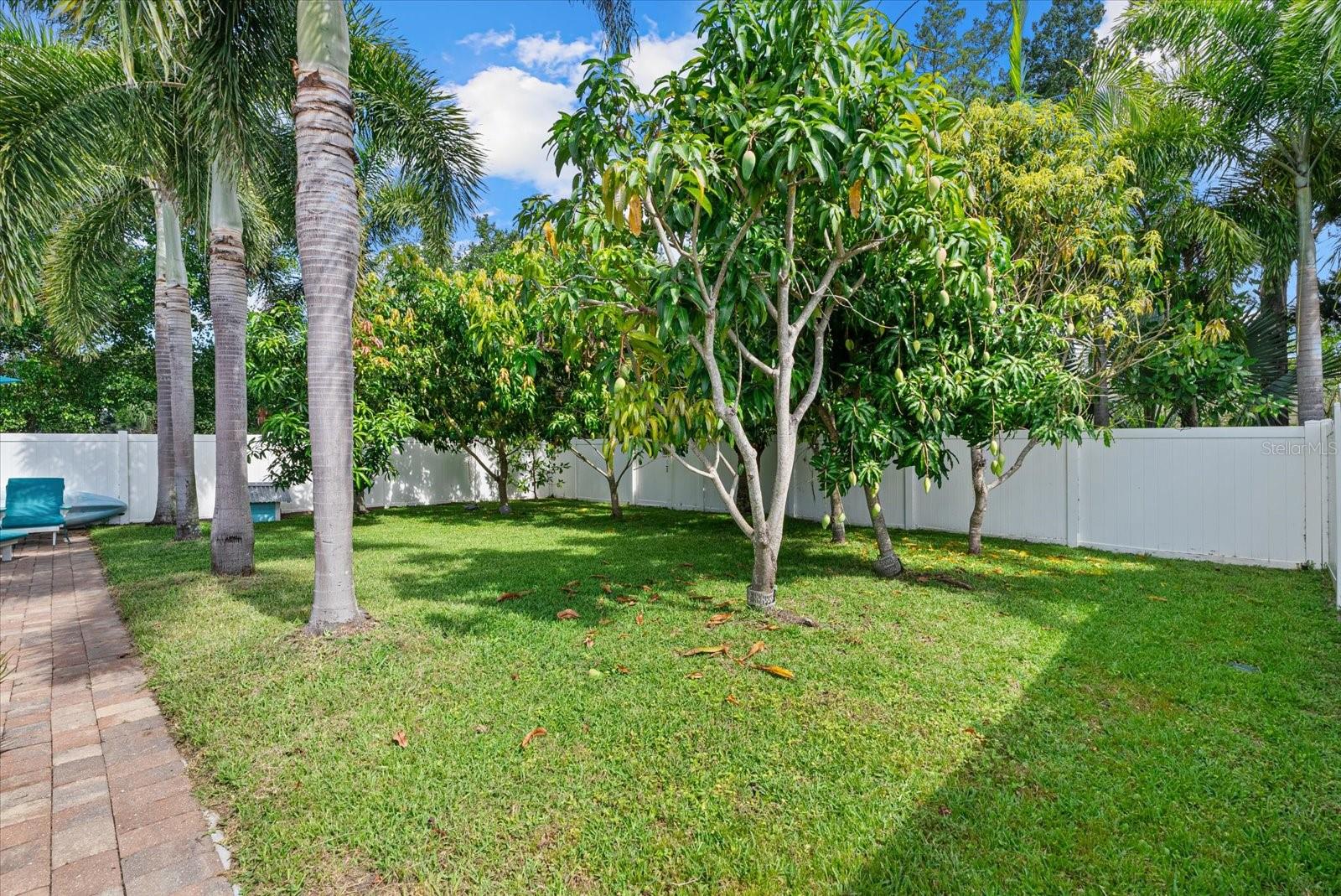 SUMMERFIELD VILLAGE SUBPHASE C U13 - Residential