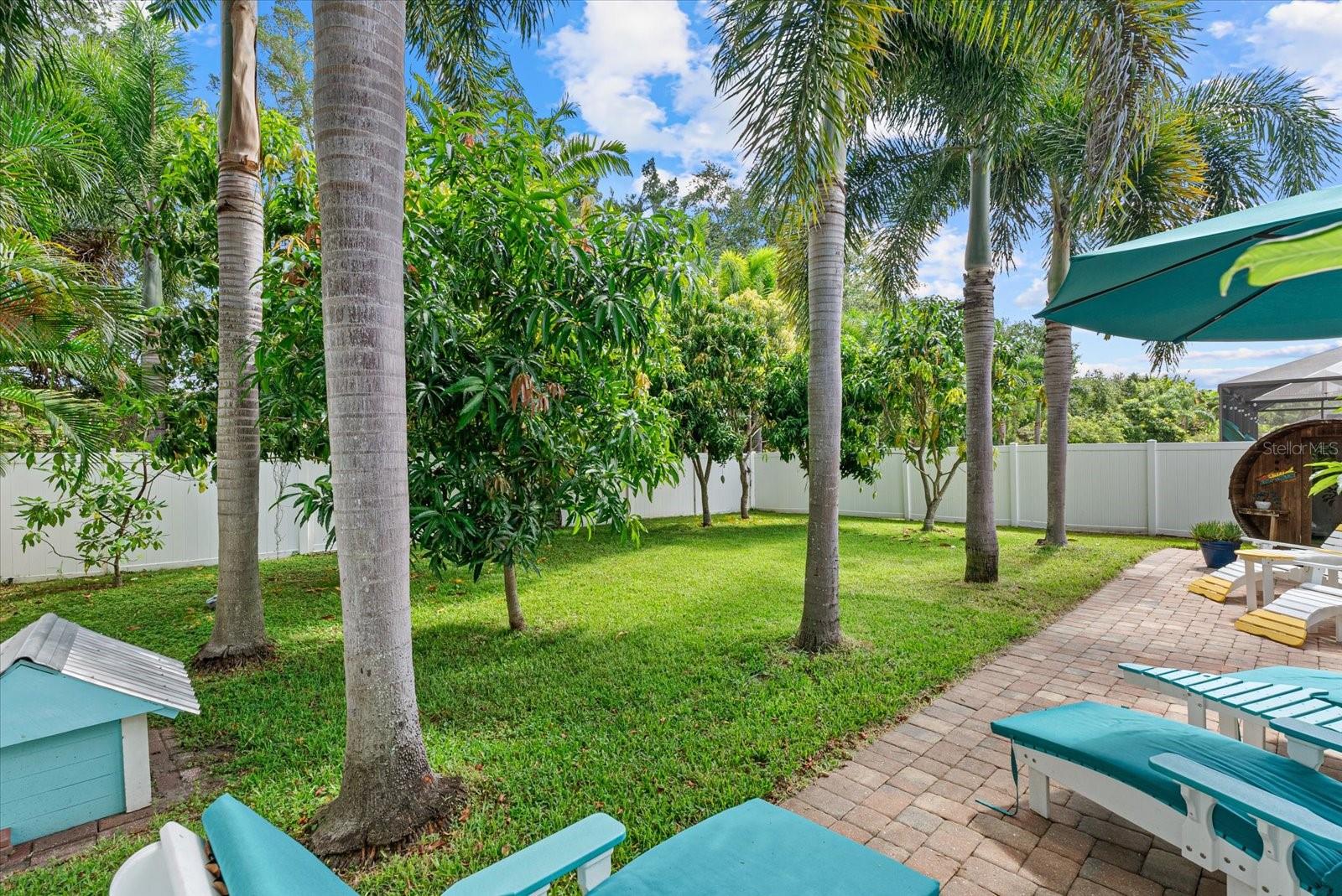 SUMMERFIELD VILLAGE SUBPHASE C U13 - Residential
