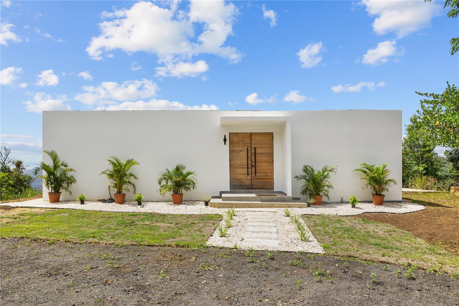 BO SUMIDO CARRETERA 7737 KM 1 6 CAYEY PUERTO RICO - Residential