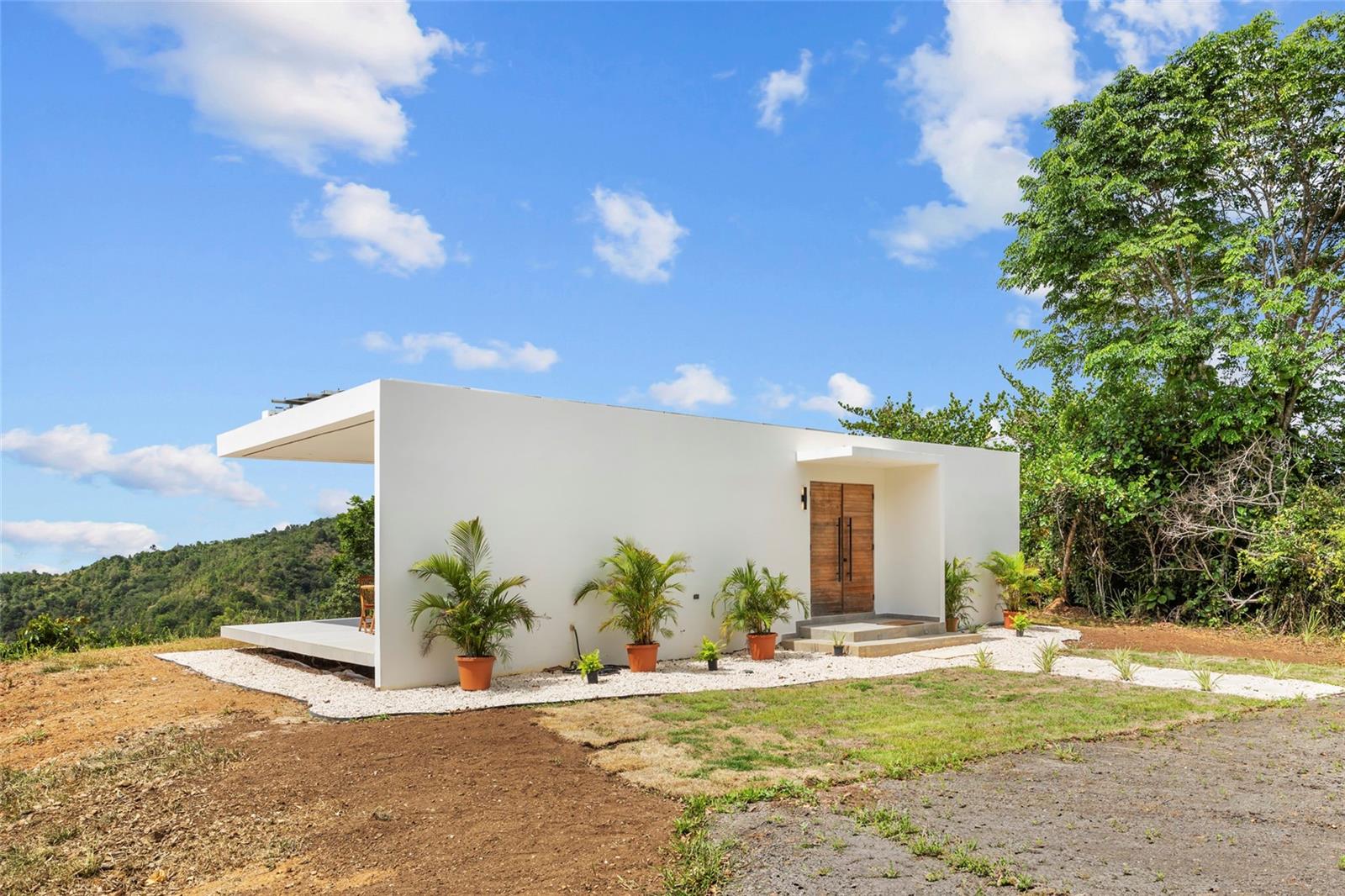 BO SUMIDO CARRETERA 7737 KM 1 6 CAYEY PUERTO RICO - Residential