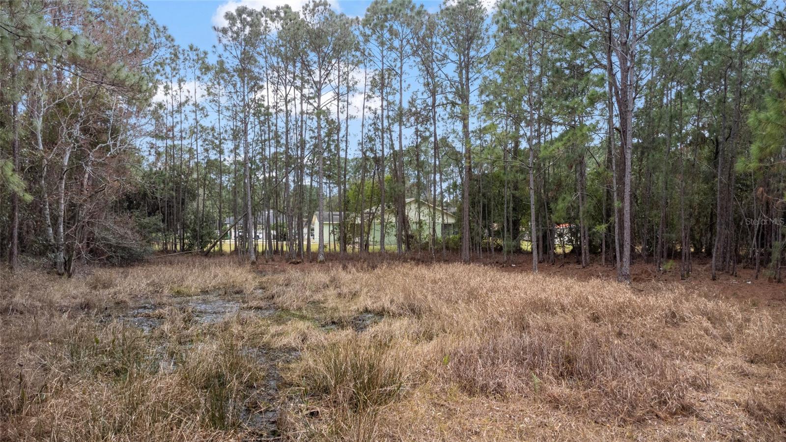 ST JOHNS RIVER ESTATES UNIT 01 - Land