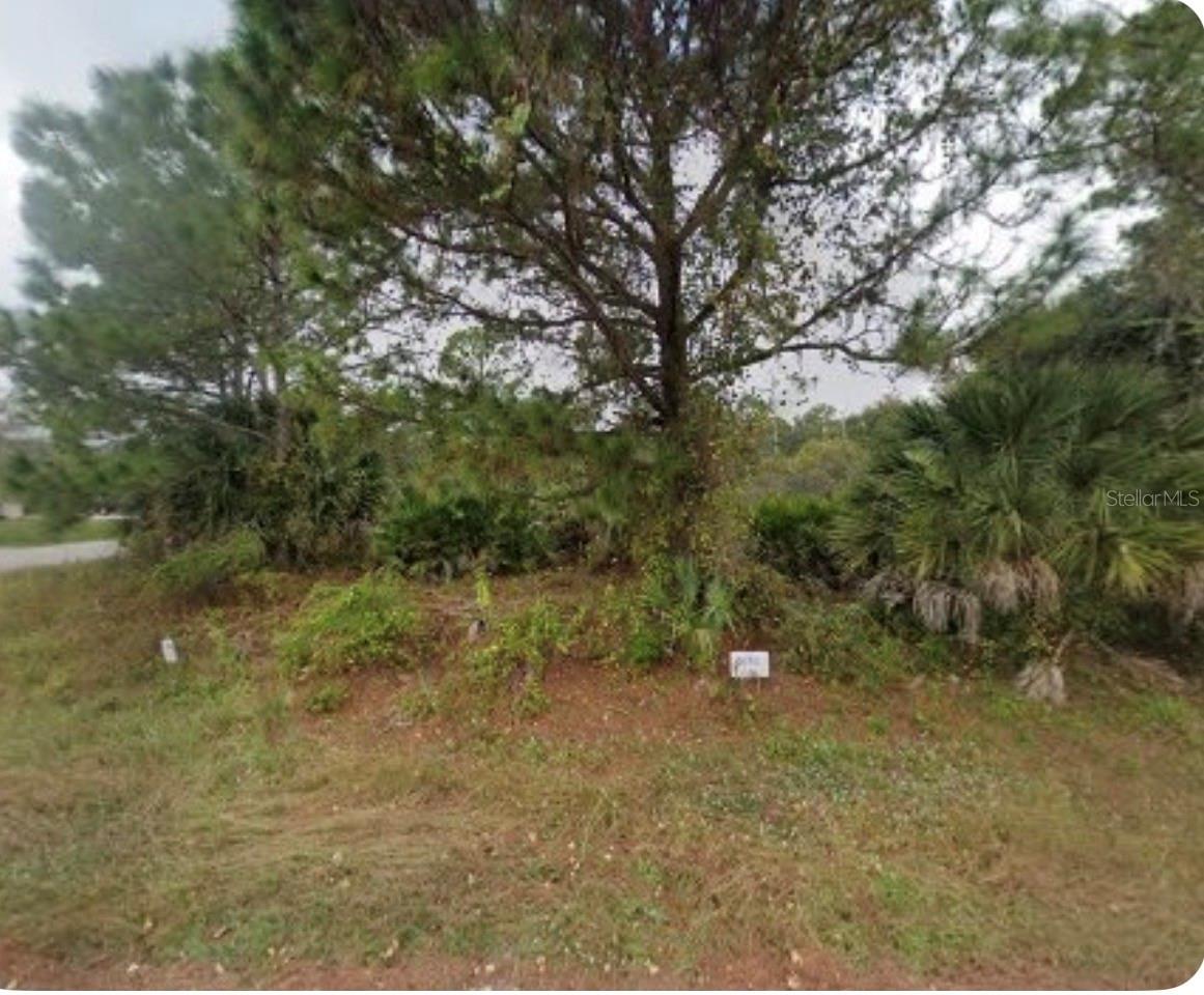 Great lot to build your dream home