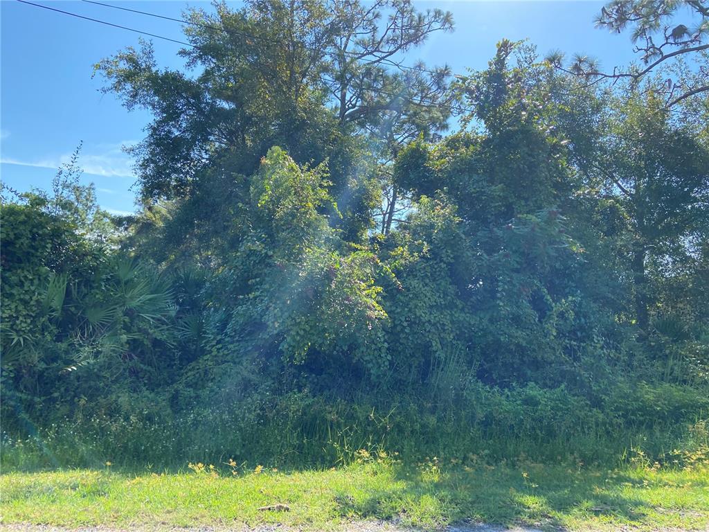 DAVIS PARK ADD 10 - Land