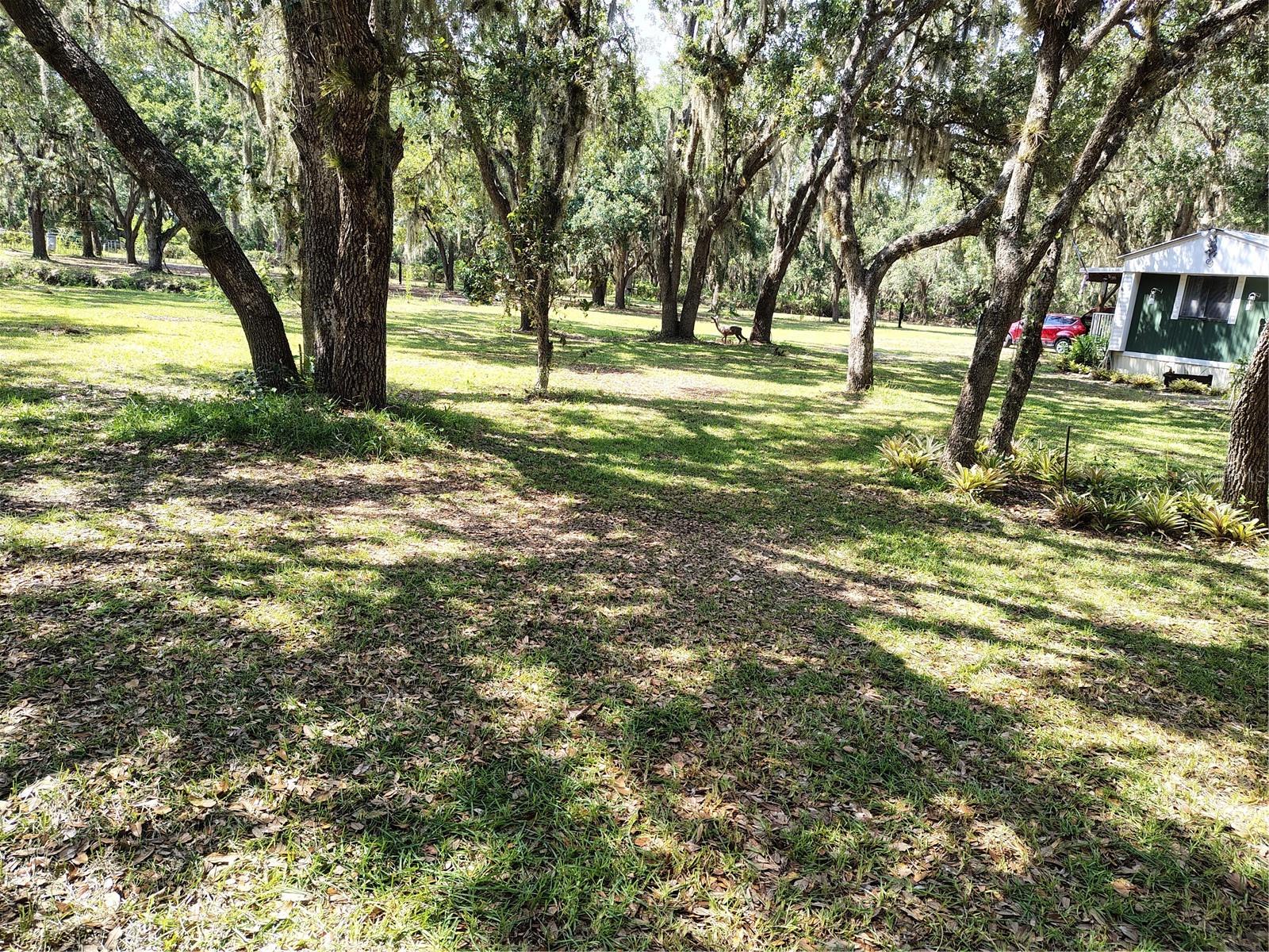 LAKE ROSALIE RANCHES - Residential