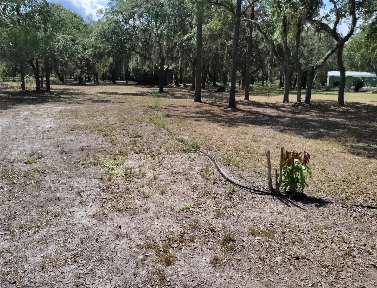LAKE ROSALIE RANCHES - Residential