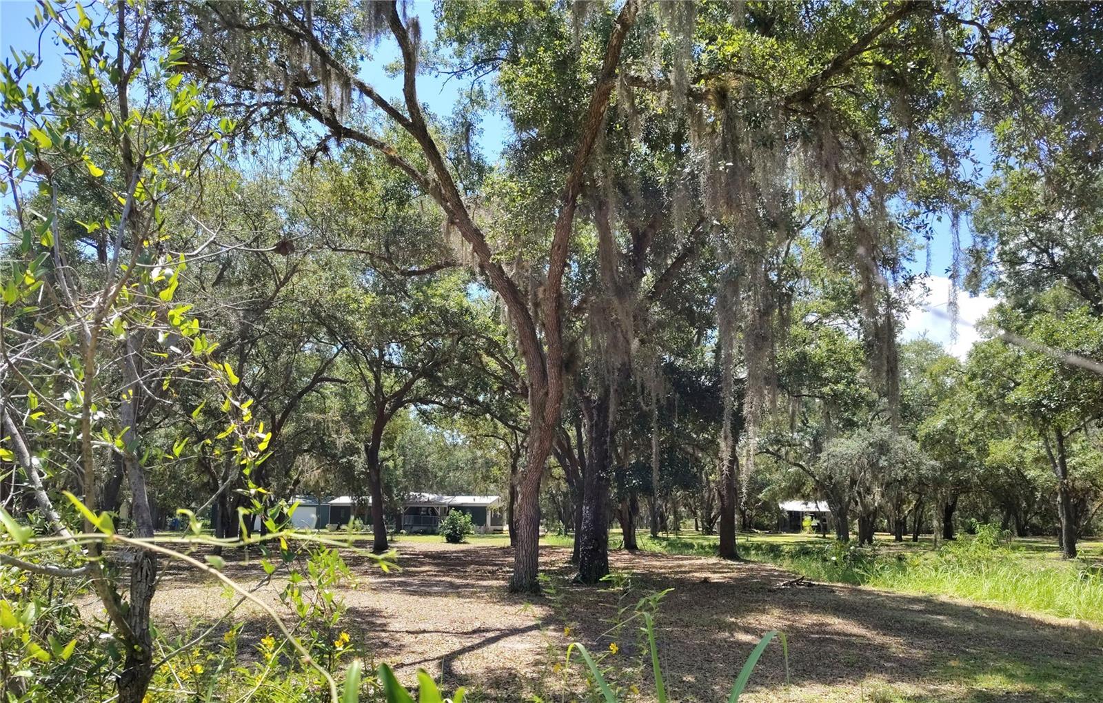 LAKE ROSALIE RANCHES - Residential