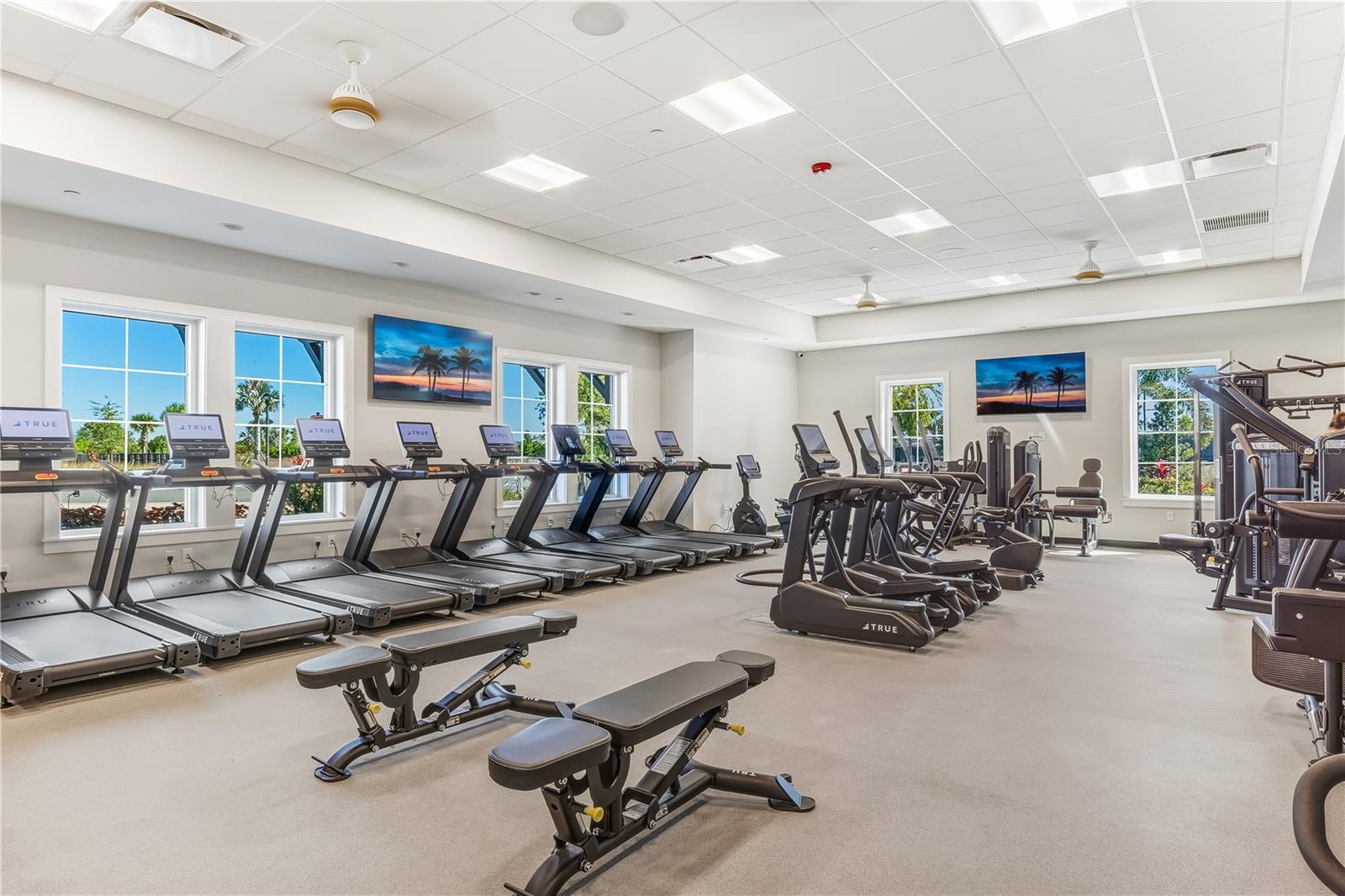 SADDLESTONE AT STAR FARMS LAKEWOOD RANCH - Residential