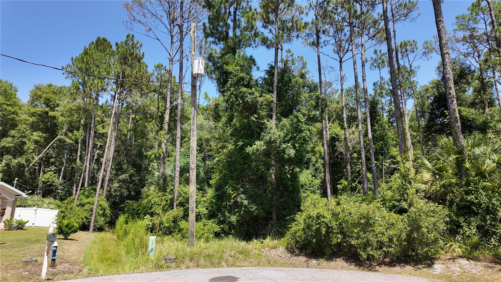 PALM COAST SEC 63 - Land